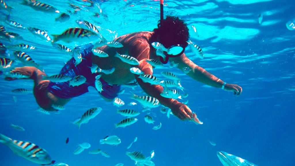 Isla Mujeres: Her Şey Dahil Katamaran Turu