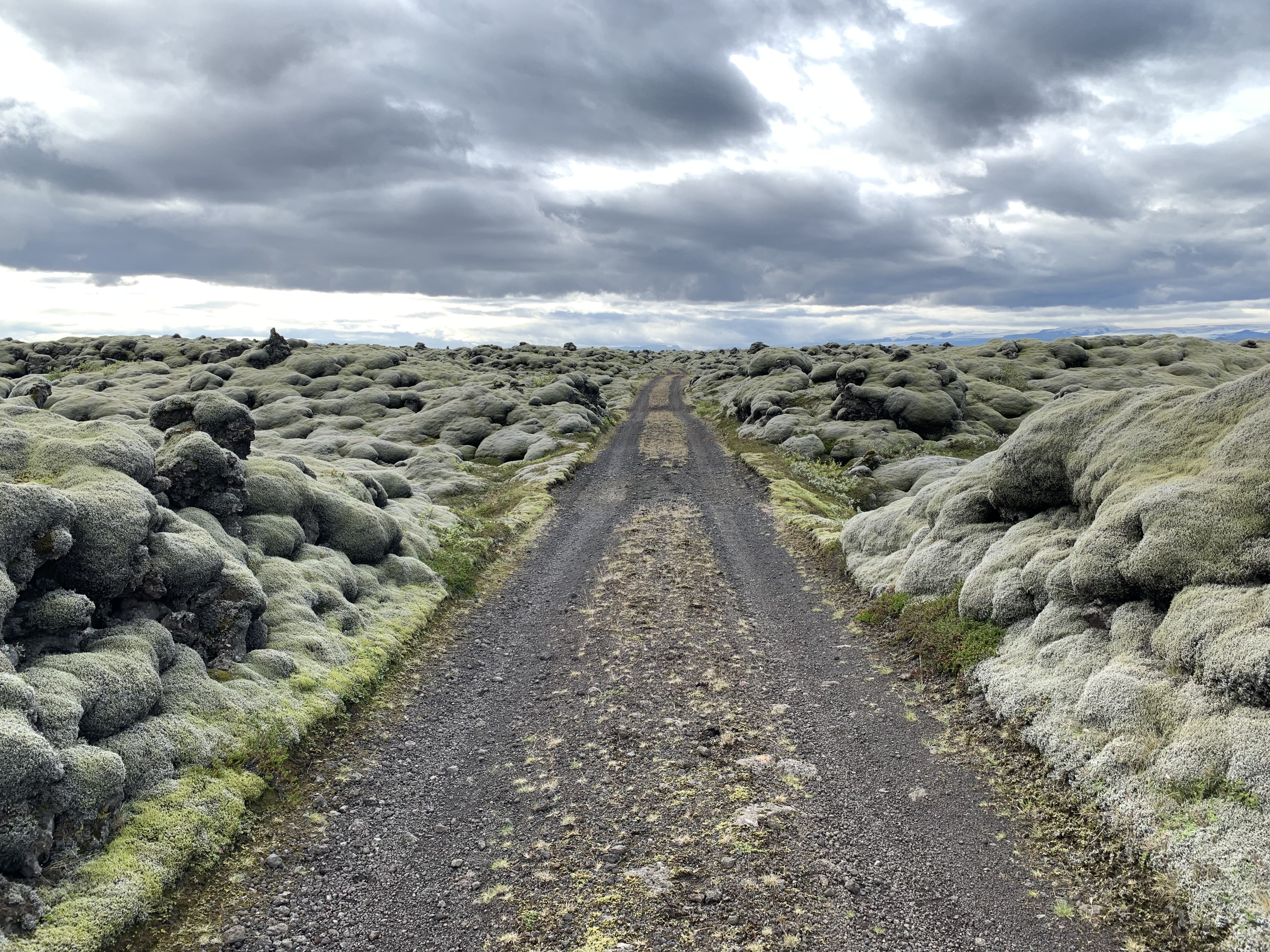 Private Super Jeep with driver guide, fits 4 passengers