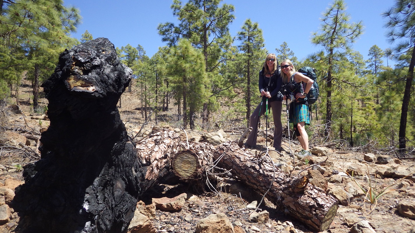 9 Days / 8 nights - Hiking Highlights of Tenerife - Photo 4