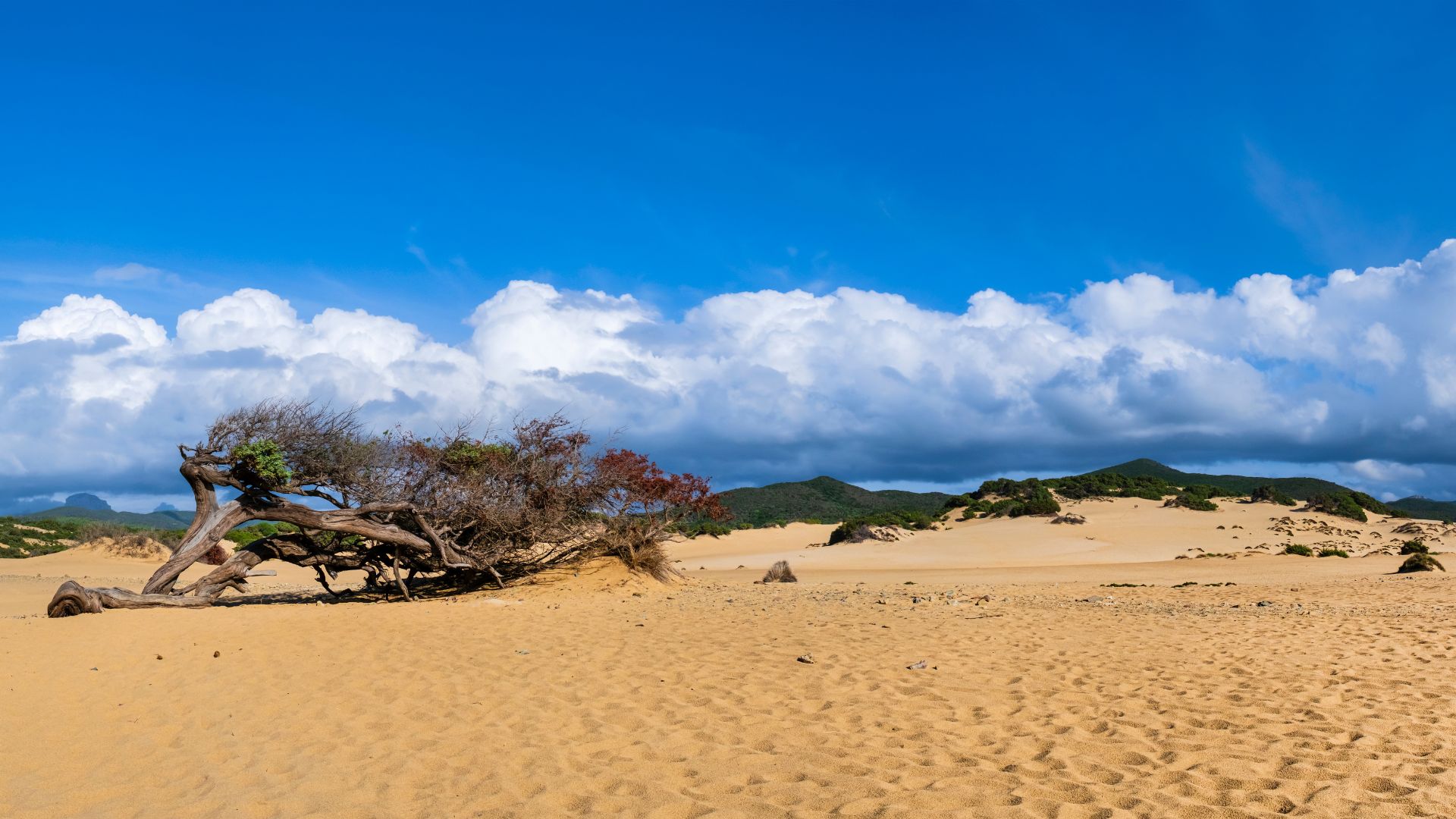 From Oristano: Costa Verde off-road trip - Photo 8