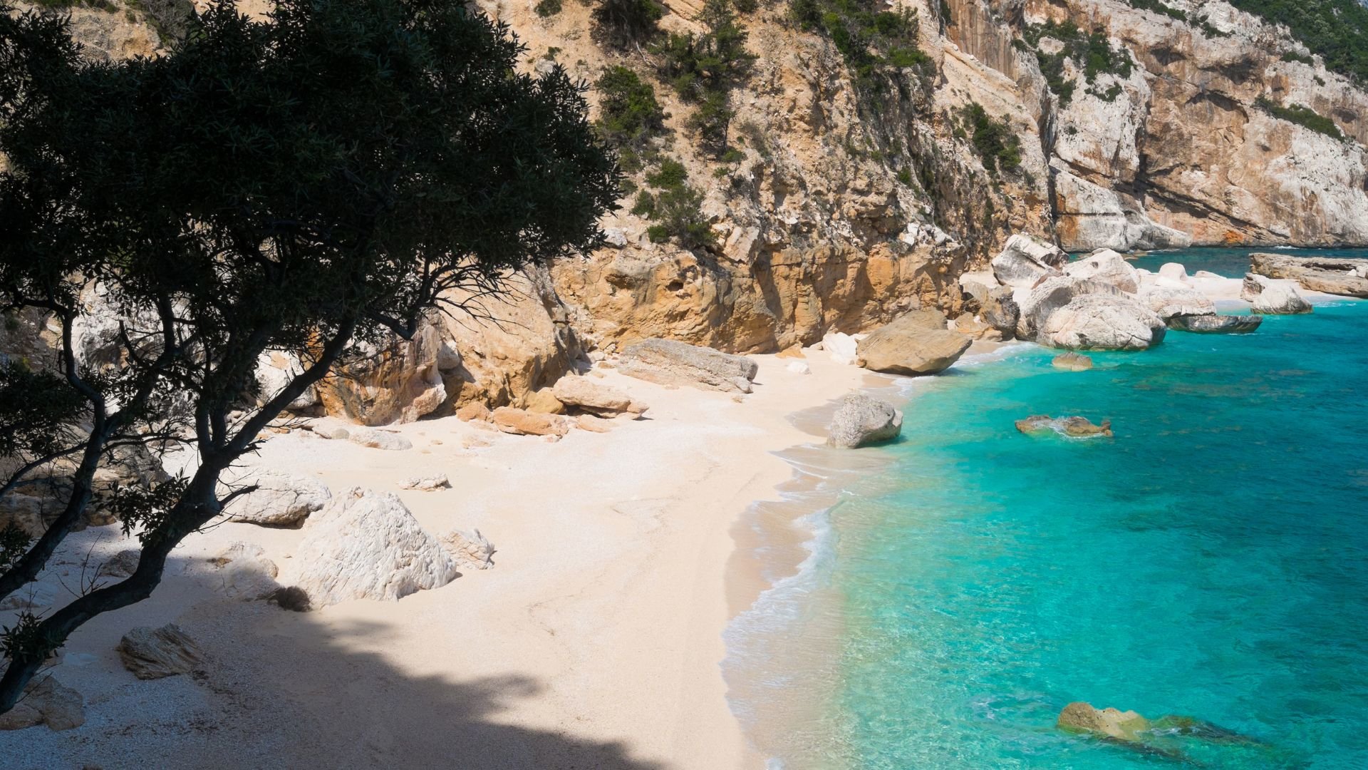 From Baunei: trekking to Cala Mariolu - Photo 24