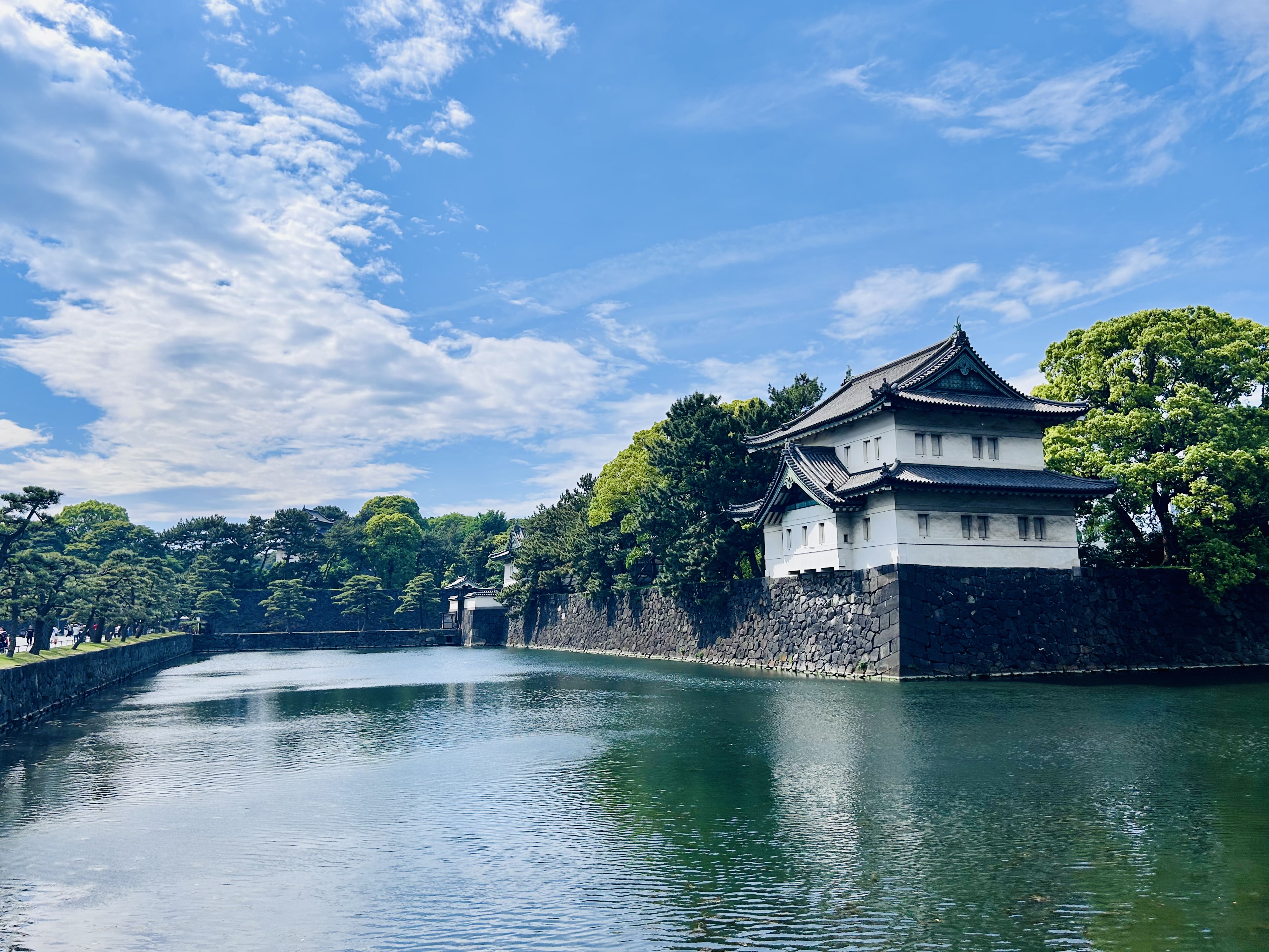 Imperial Palace and Shogun Historical Walking Tour