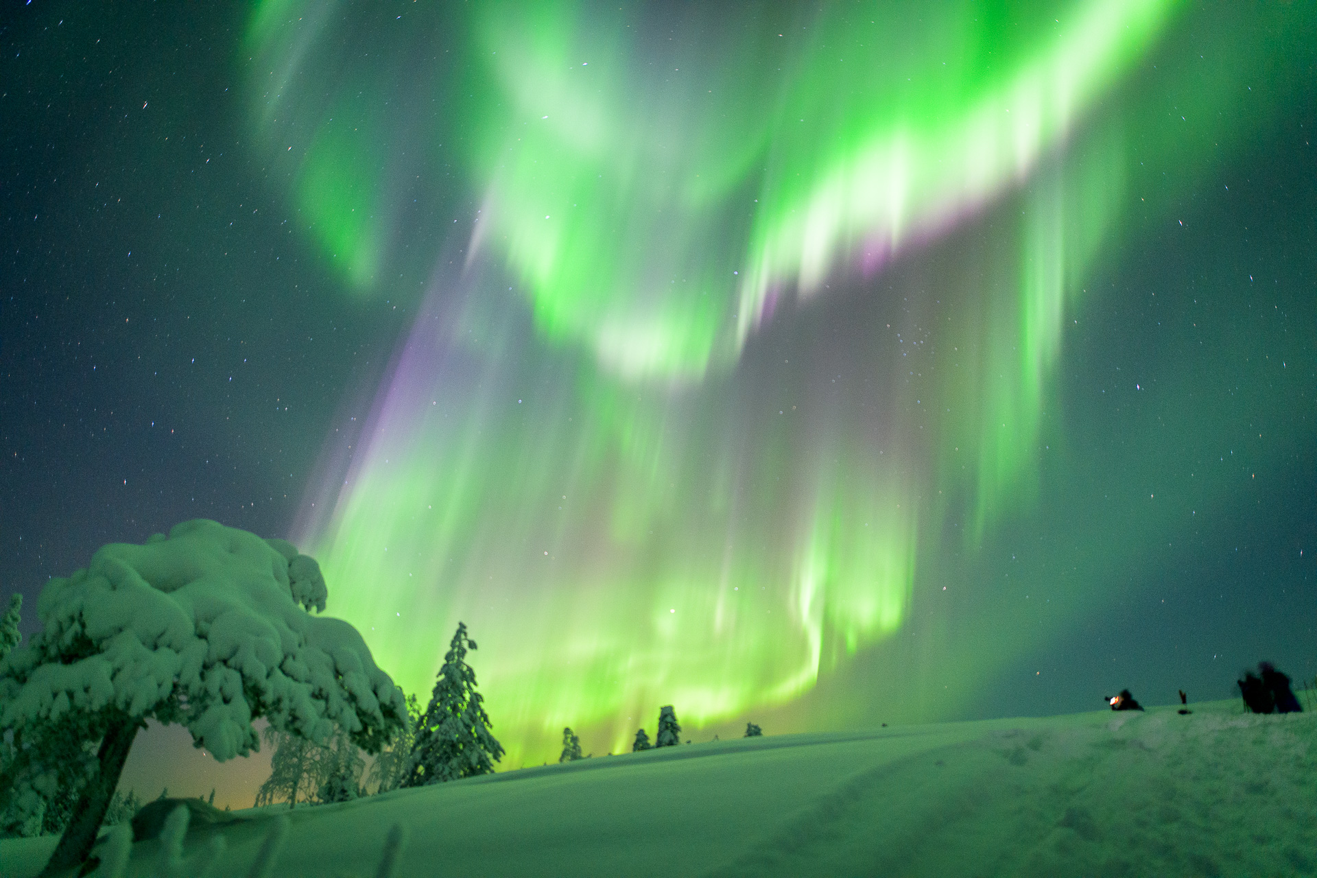 Caza de auroras boreales desde Kemi - Kemi - Foto 3