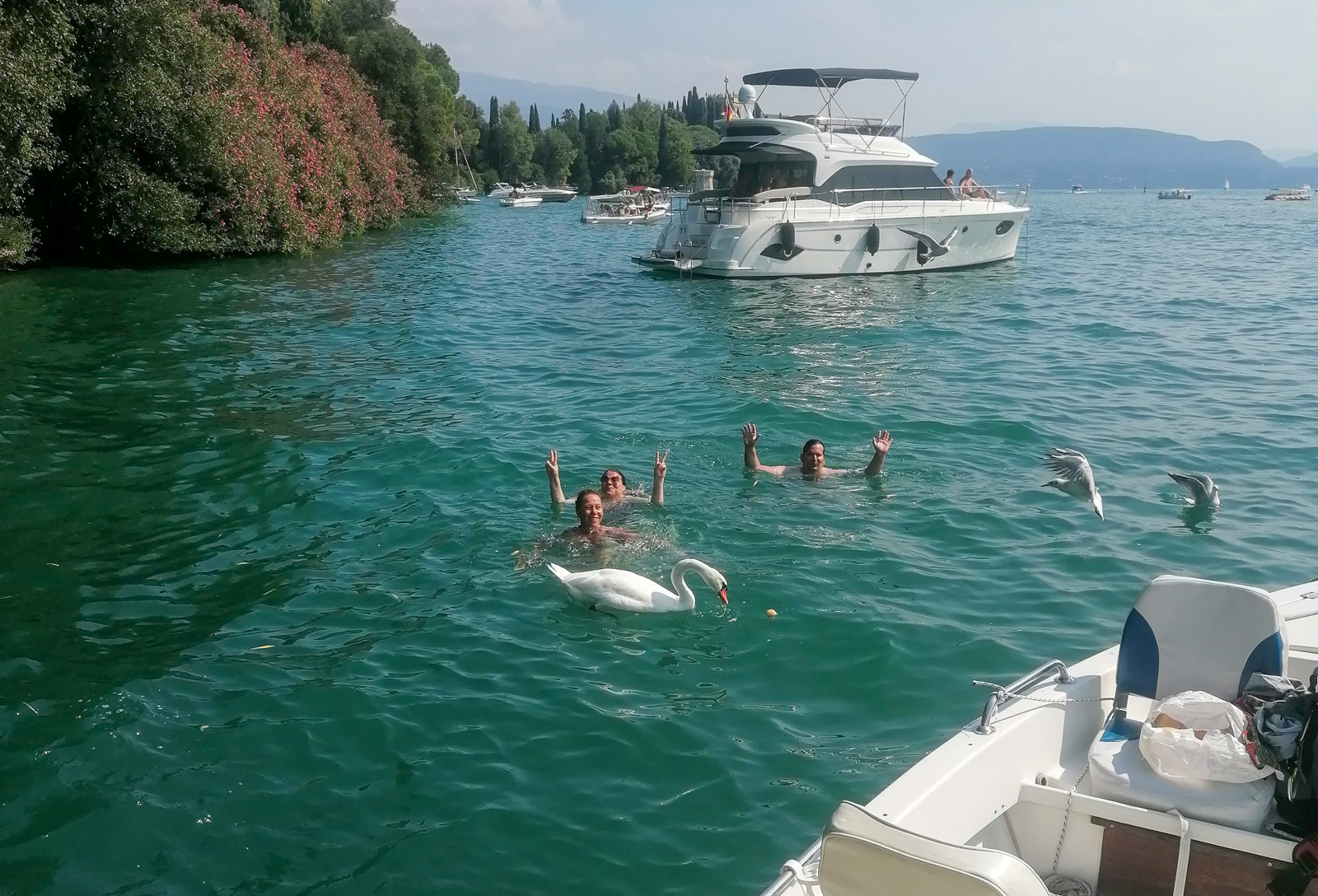 Sunset boat cruise with wine and fish tasting from Garda - Photo 10