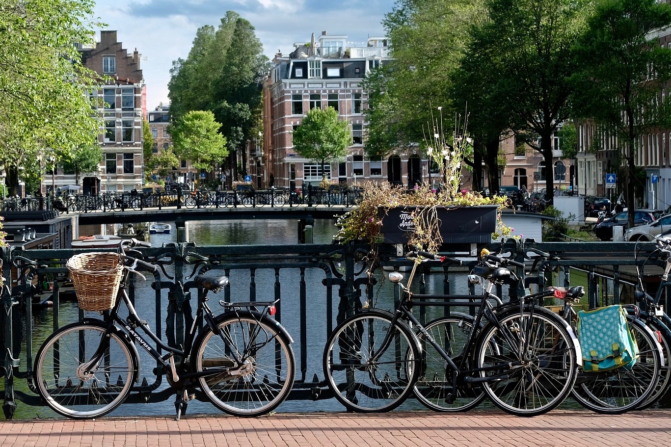 7-Day Belgium-Netherlands Small-group Trip by Minivan, 11 Excursions included - Photo 7