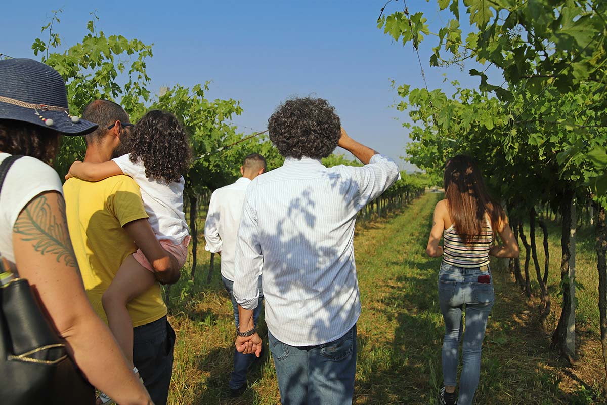Biodynamic Farm and Natural Wines Tasting - Photo 7