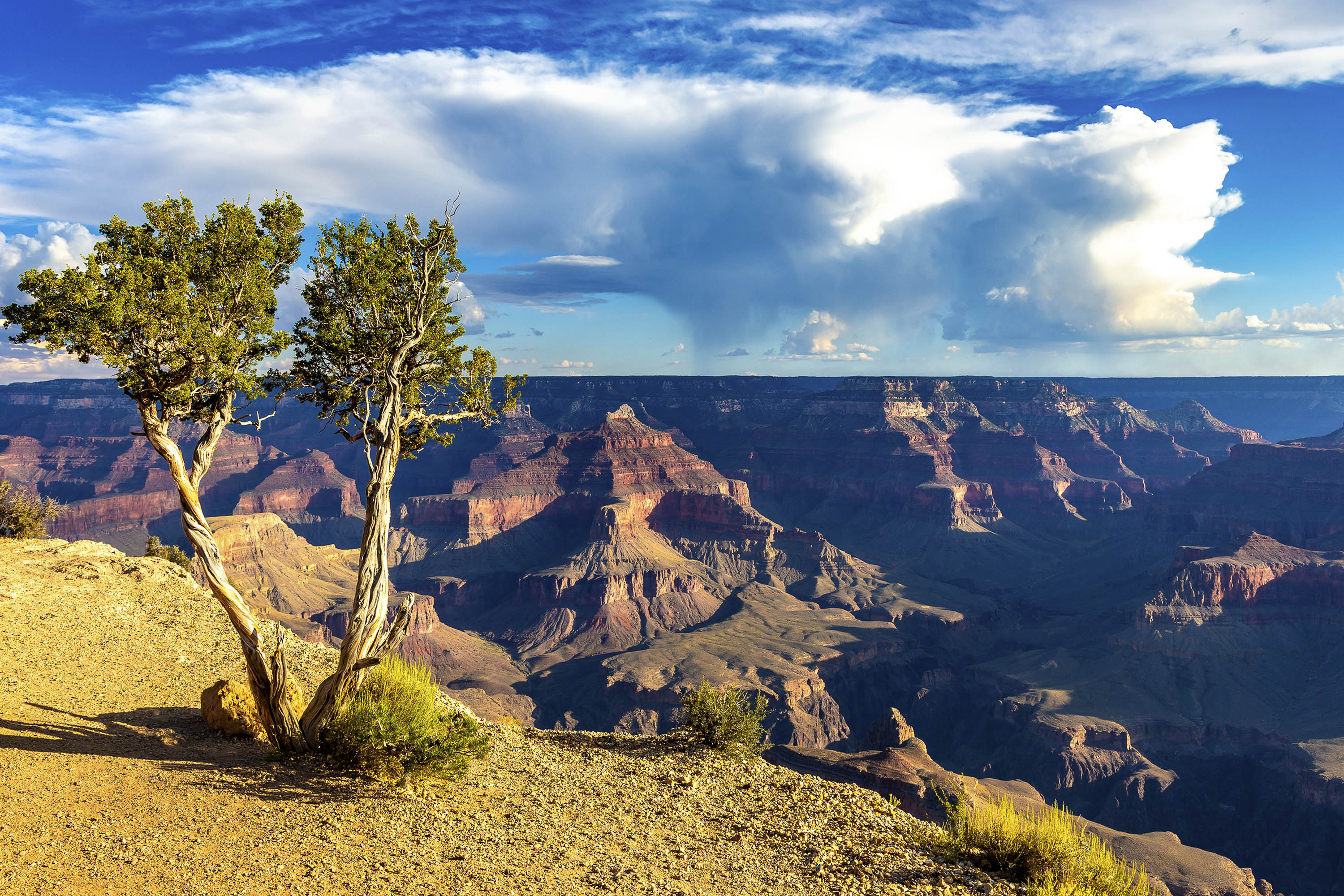 Grand Canyon Tour with audio guide