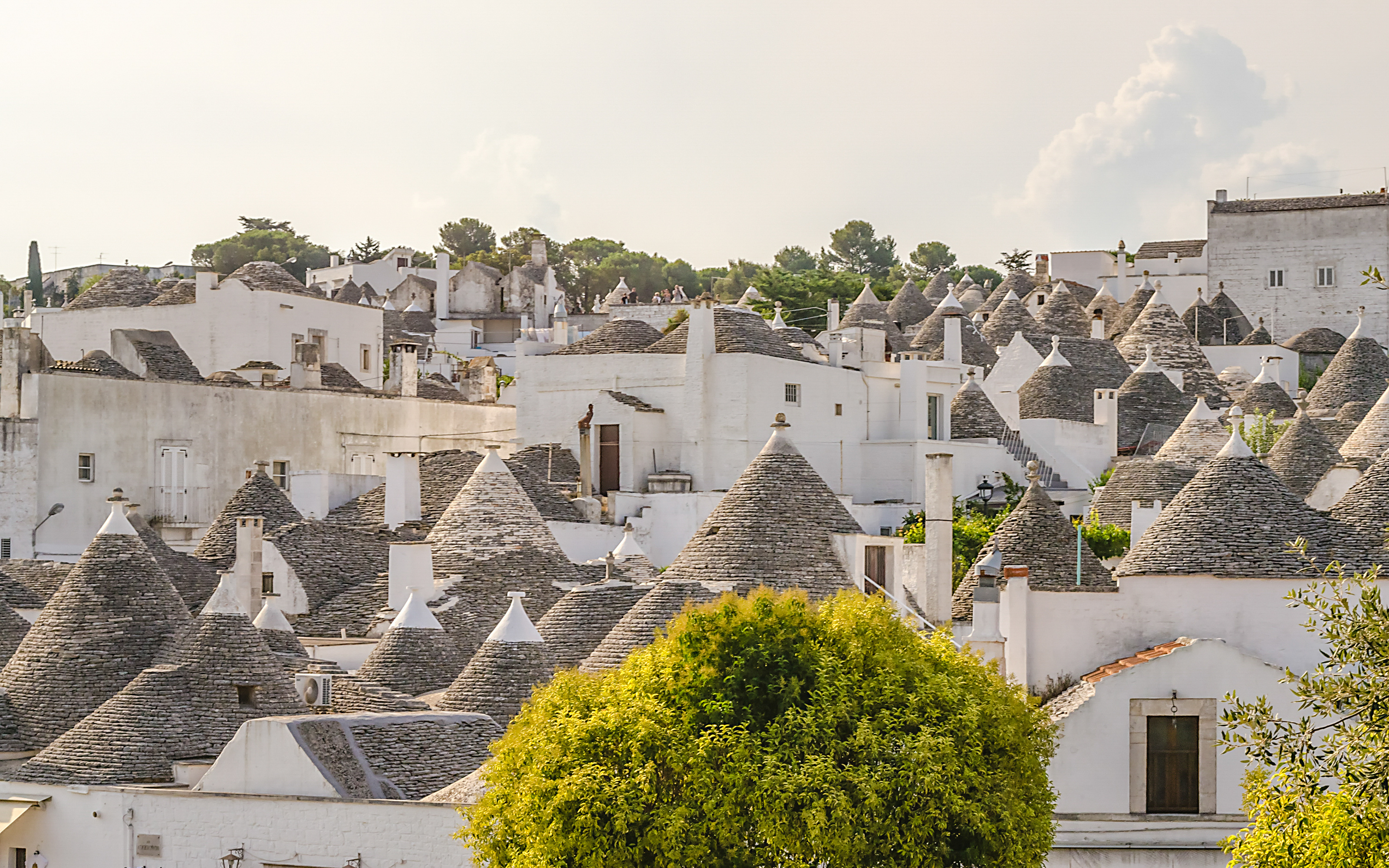 The Essential Puglia Tour in Jacksonville
