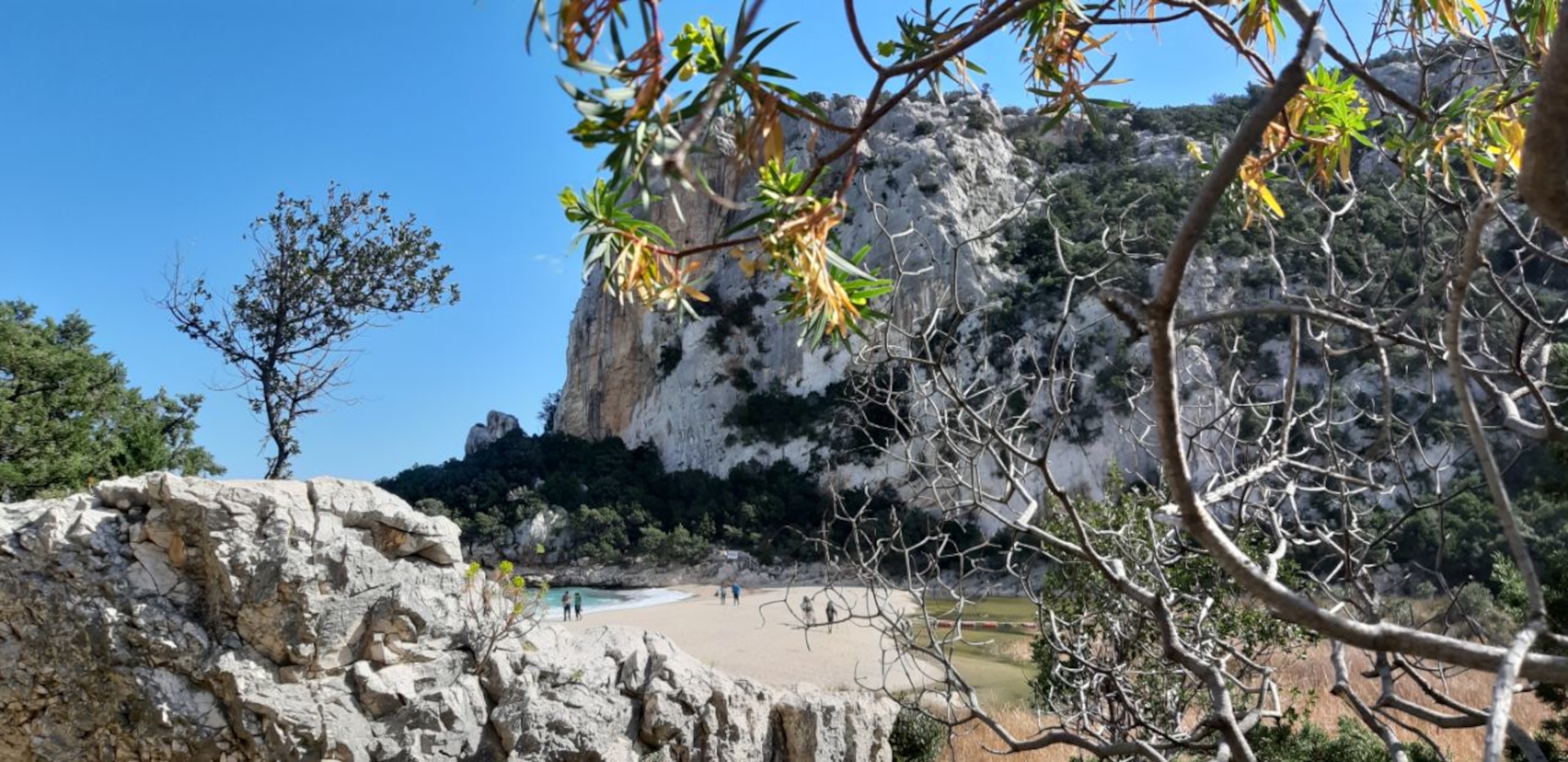 From Dorgali: trekking to Cala Luna - Photo 9