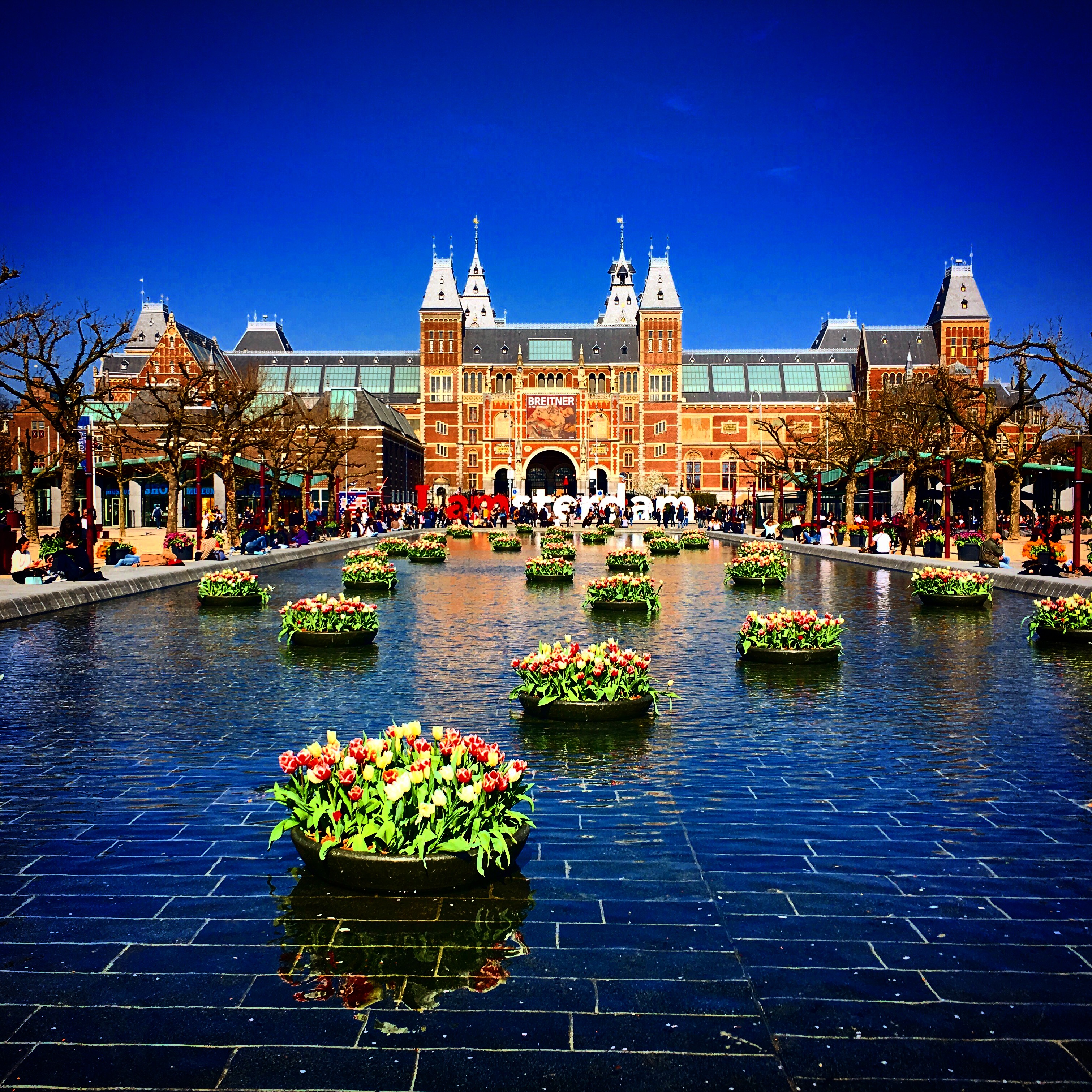Amsterdam Bisiklet Kiralama