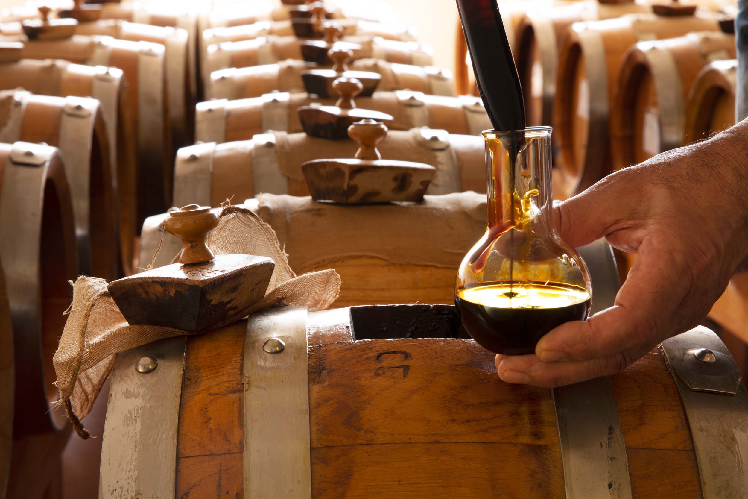 Modena: Visit vinegar cellar, tasting balsamic vinegar + typical lunch - Photo 2