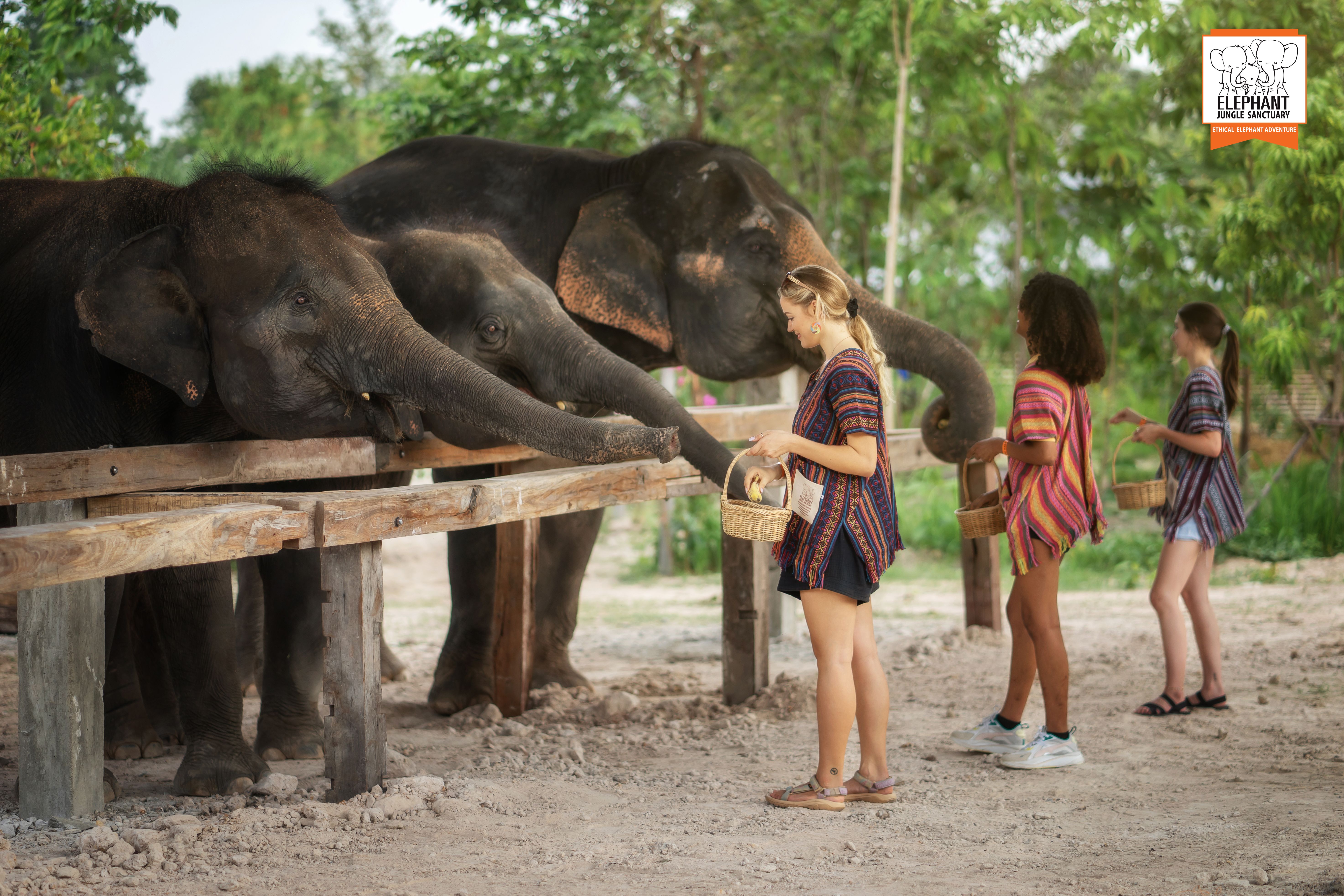 Chiang Mai: Tam Gün Deneyim