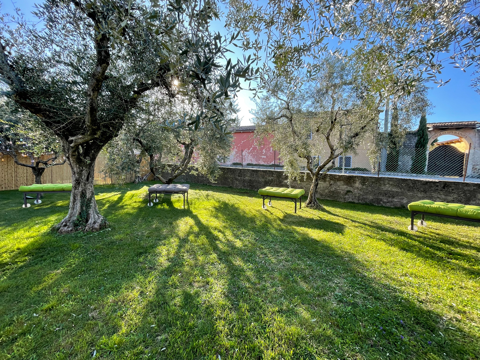 Lake Garda Olive Oil Tour and Tasting Experience - Photo 11