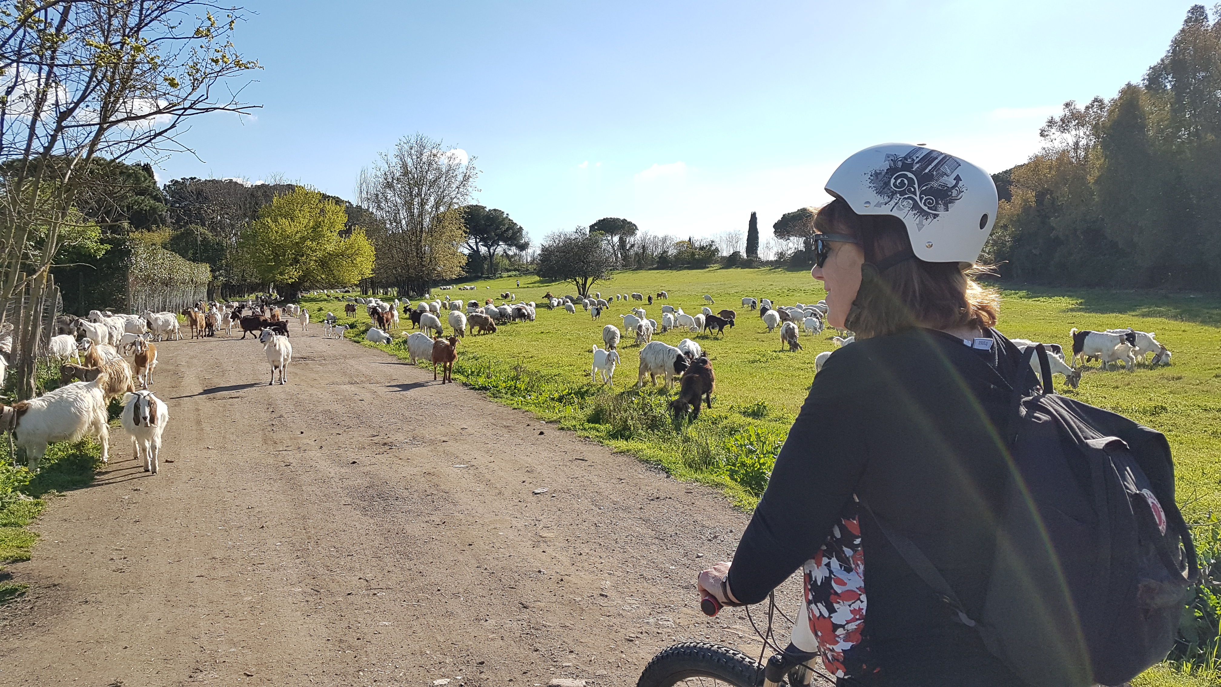 Appian Way Bike Tour through Parks and History | Private Nature Experience - Photo 8