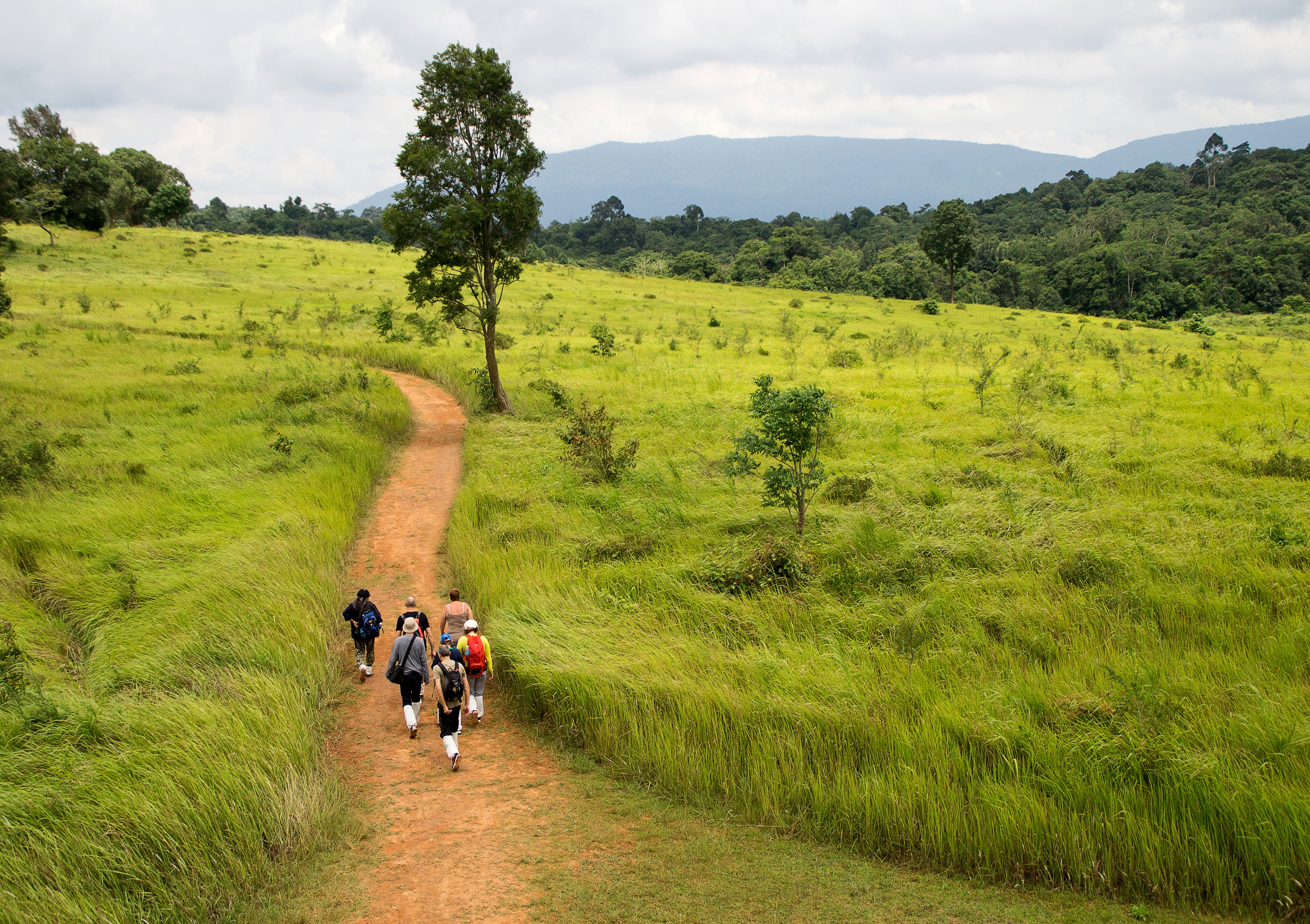 Khao Yai National Park Tour with Waterfalls from Bangkok: Semiprivate or Private Option with Pickup
 - Accommodations in Bangkok