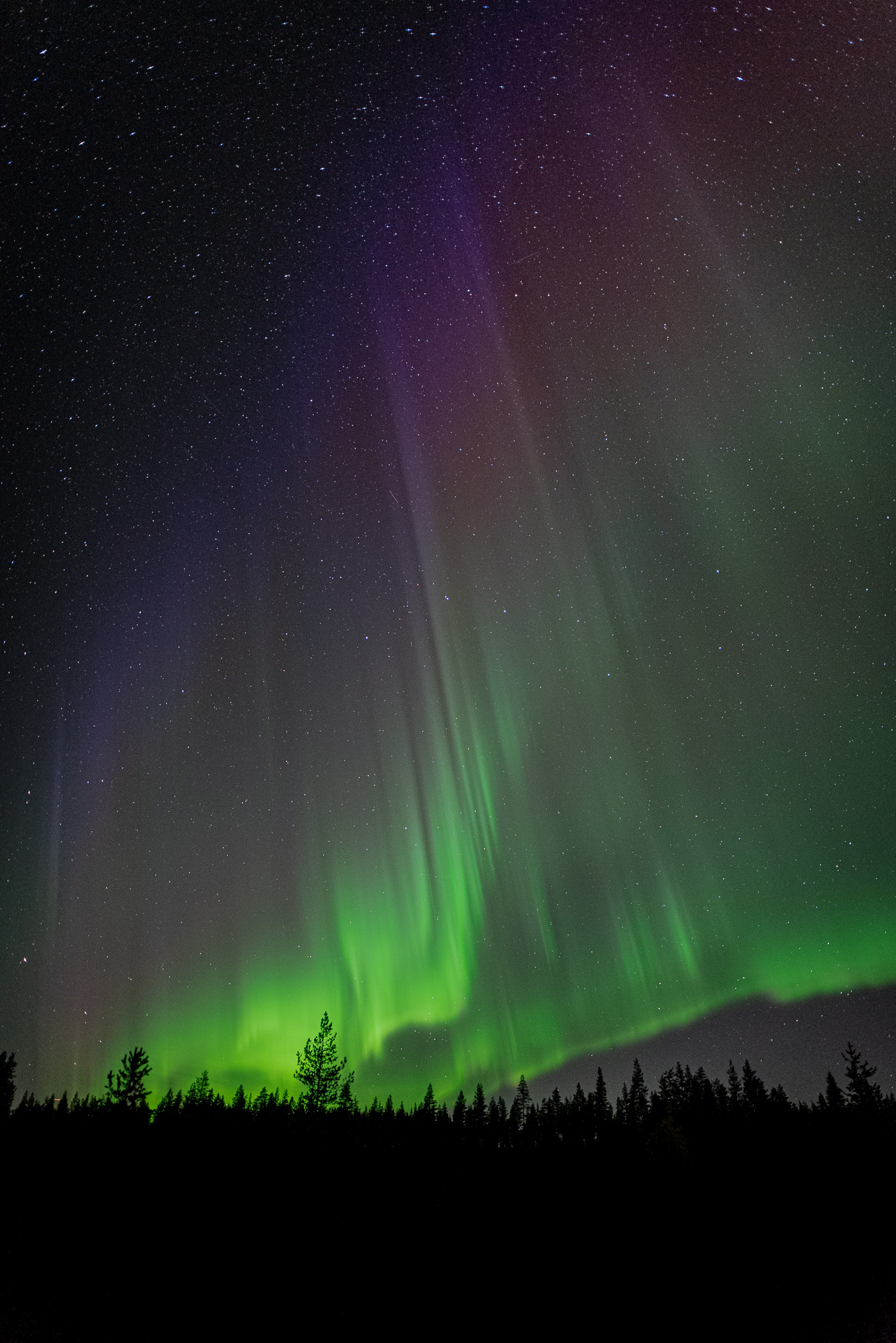 Caza de Auroras con Fotografía y Recogida en Grupo Reducido con Garantía de Avistamiento* - Alojamientos en Rovaniemi