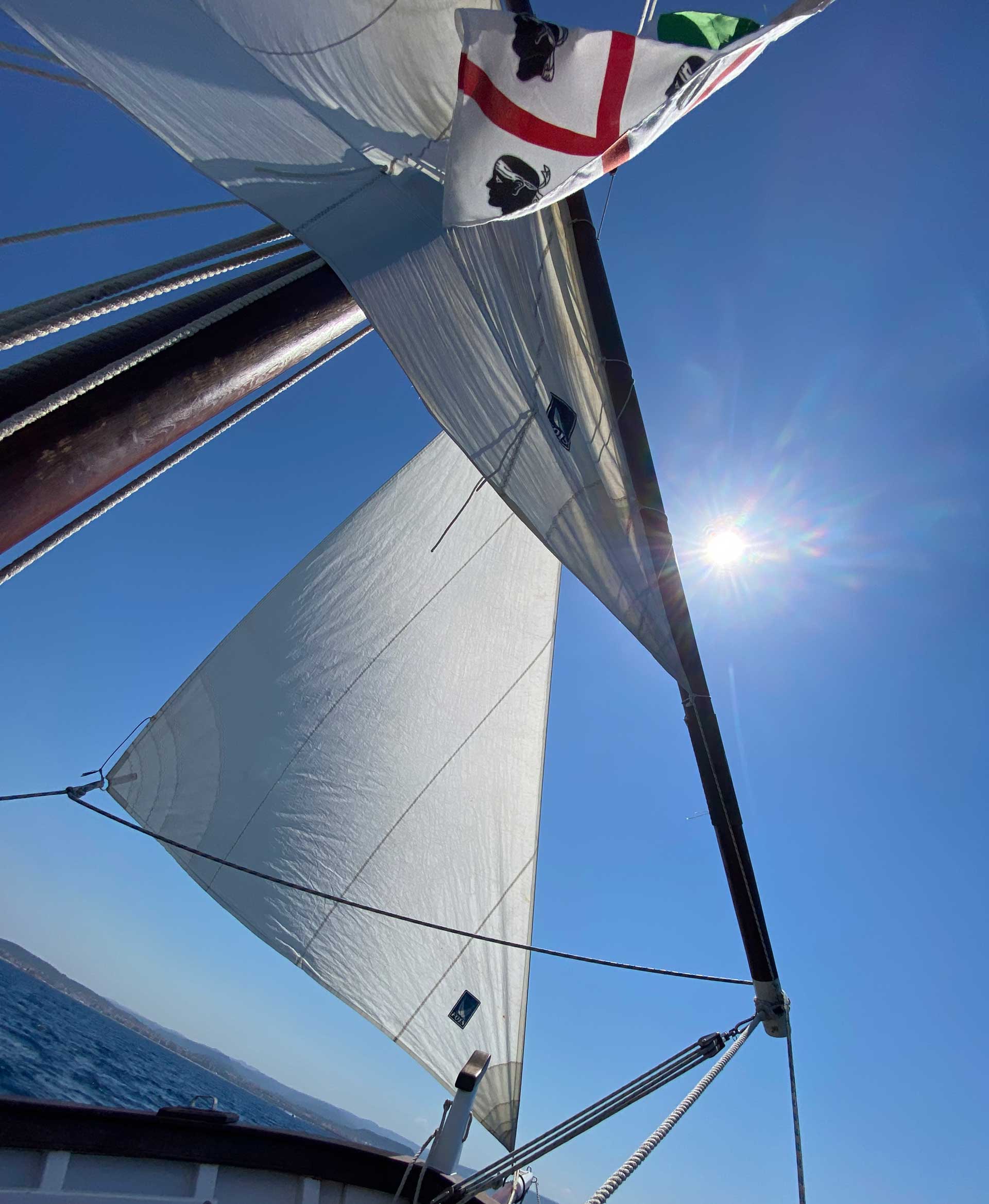 From Alghero: 4-hour sailing boat tour - Photo 15