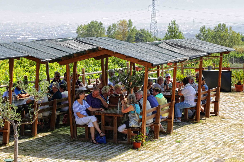 Picnic in the vineyard on the slopes of Vesuvius - Photo 5