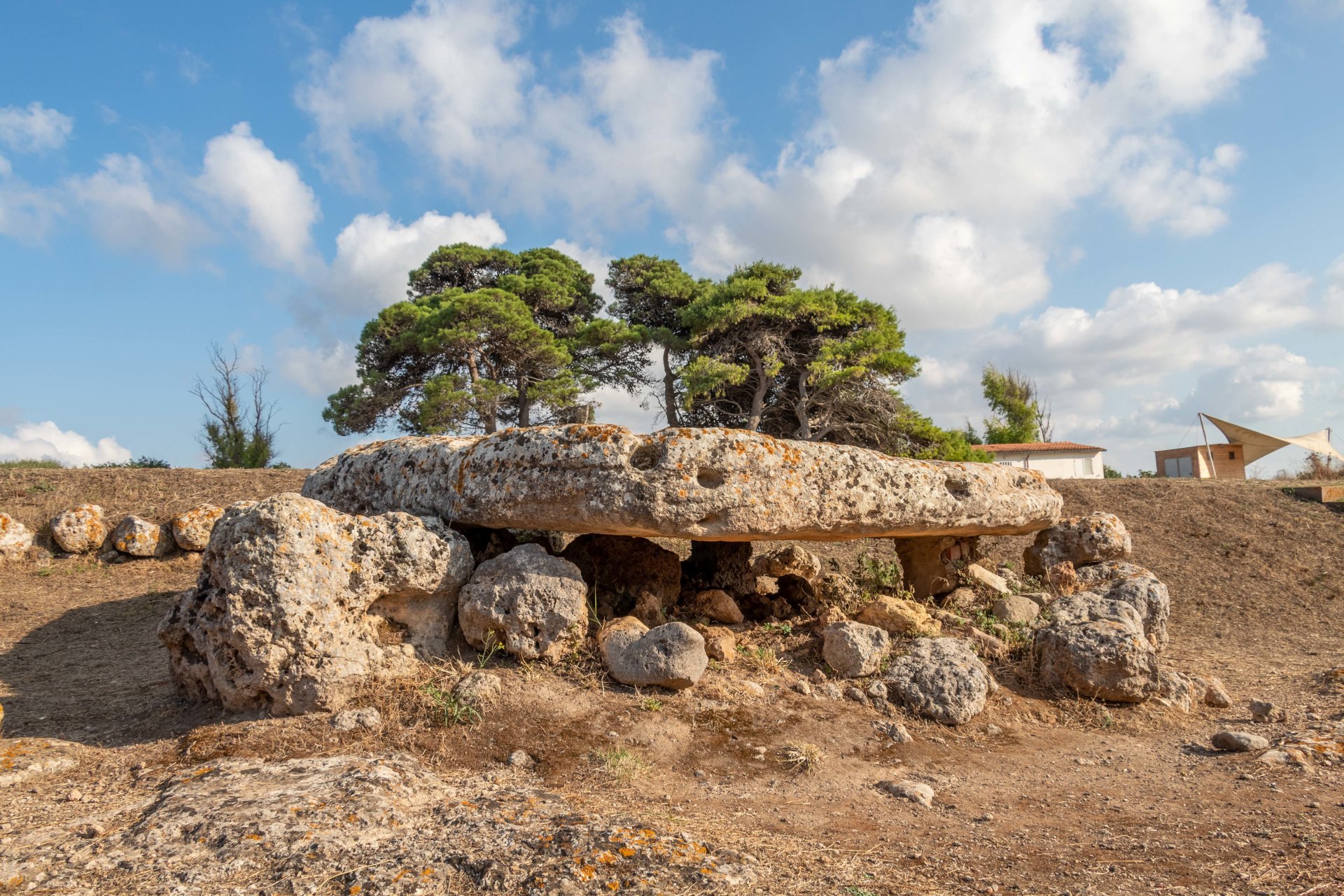 Porto Torres: archaeological tour in Monte d'Accoddi and Su Crucifissu Mannu - Photo 7