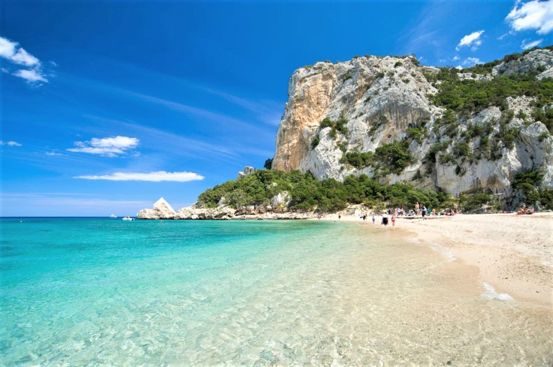 From Arbatax: RIB trip between Cala Luna and Cala Goloritzé - Photo 14