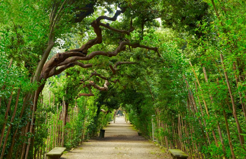 Visita Guidata ai Giardini di Boboli e Palazzo Pitti - Alloggi in Firenze