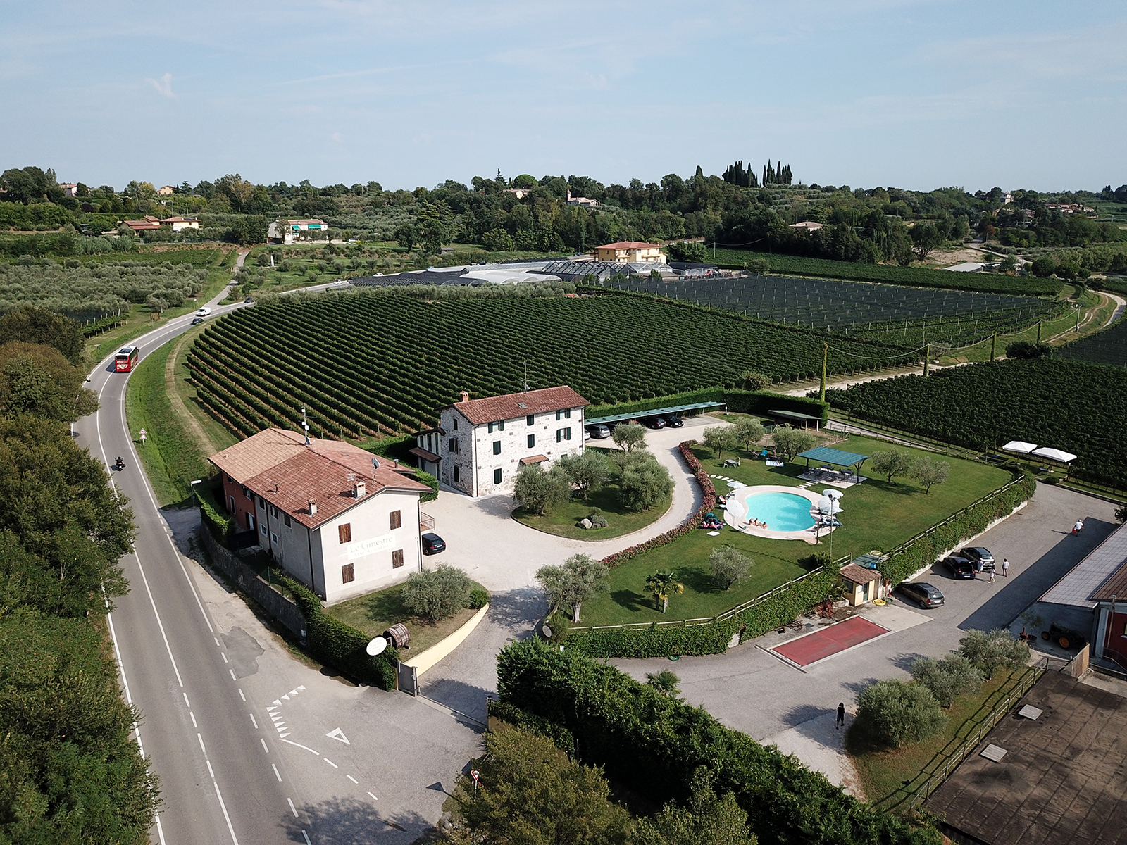 Wine and Food Tasting in the Vineyards - Photo 2