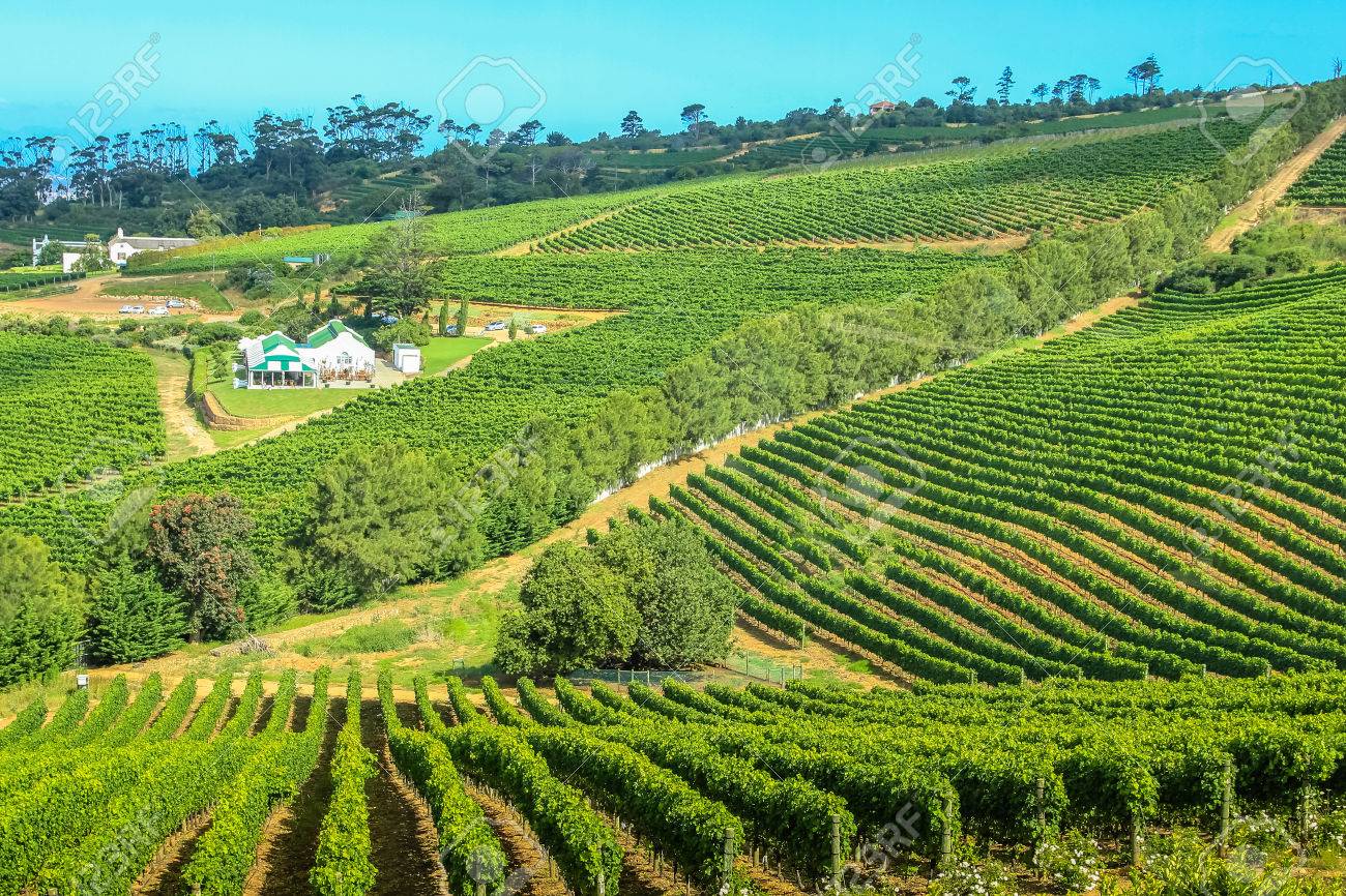 (Cape Town Tour) 3Days -Robben Island getaway & Table Mountain Car & wine taste  - Photo 9