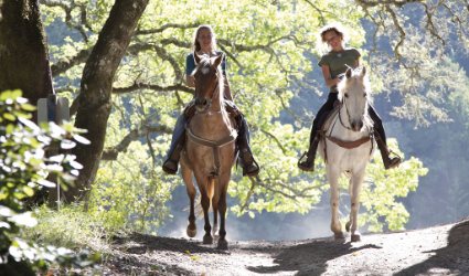 Horseback Riding from San Gimignano  - Photo 2