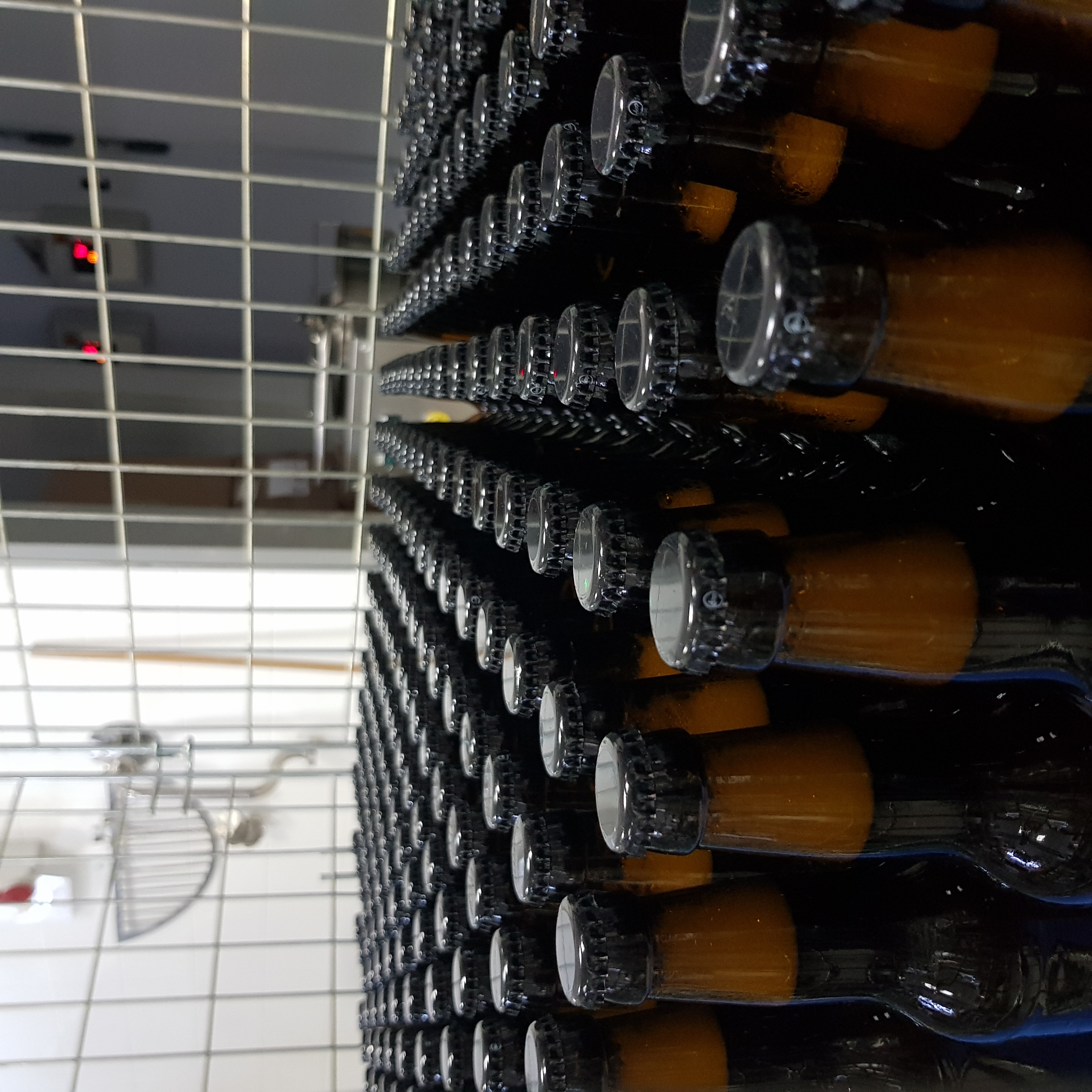 Benevento: visit and tasting at a brewery in Apollosa - Photo 5