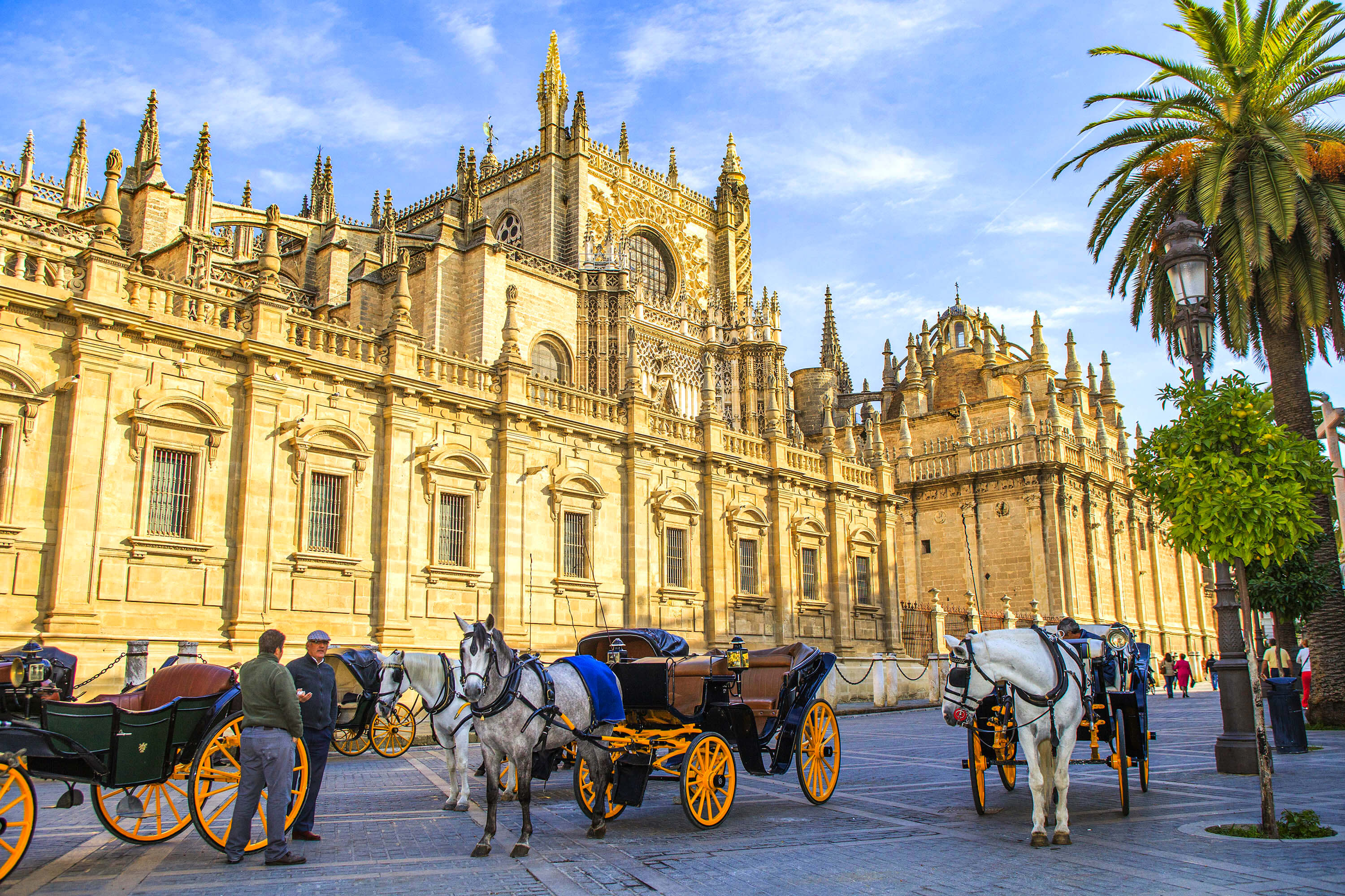 Seville Cathedral Smartphone Audio Guide (NOT AN ENTRY TICKET)