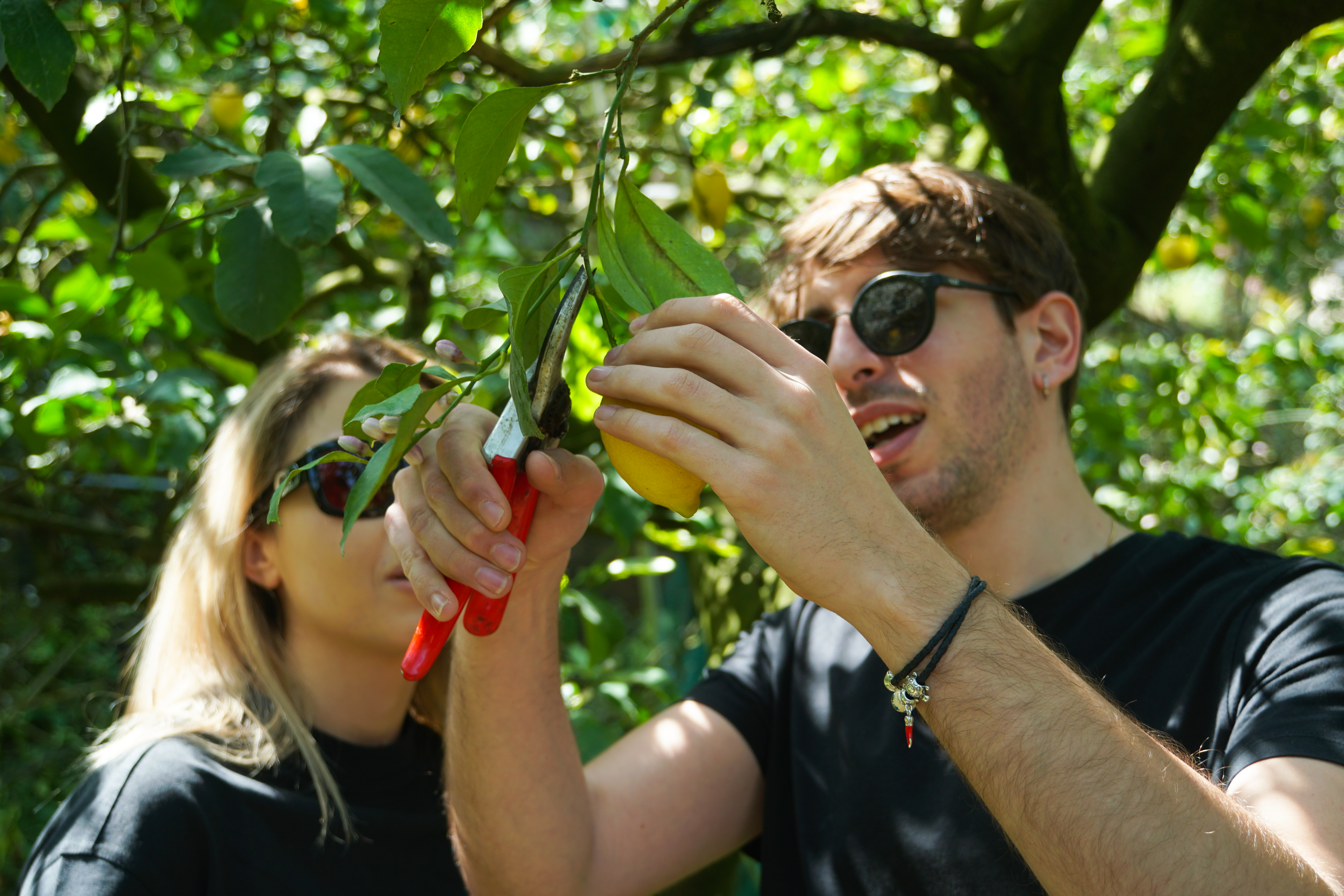 Sorrento: Authentic Lemon Experience at a Local Farmhouse - Photo 11