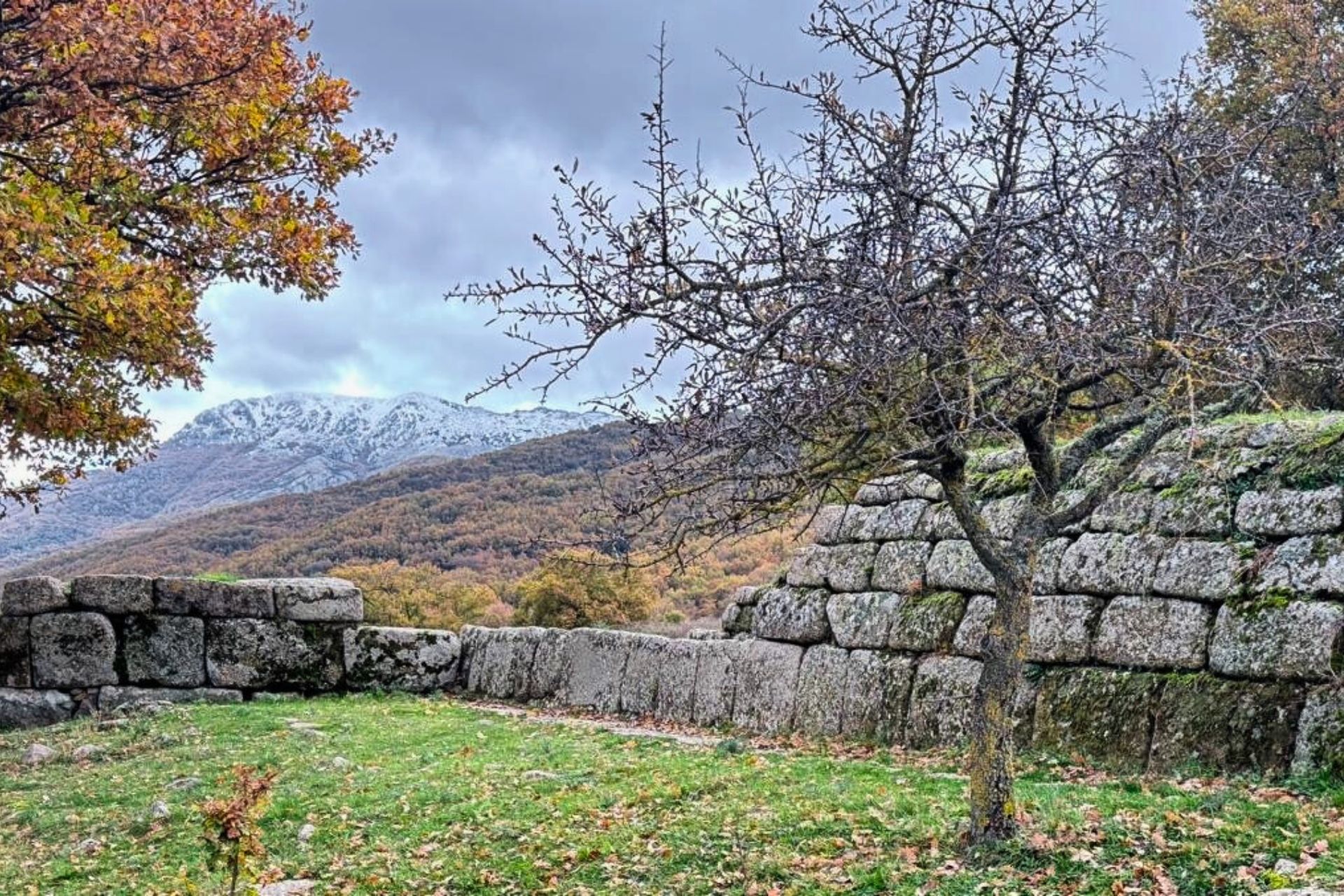 From Arbatax: Jeep tour and lunch at the shepherd's in Barbagia - Photo 17