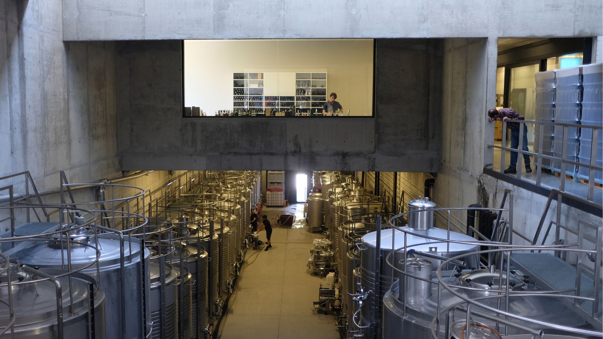 Douro Valley Small Group Tour with Wine Tastings, Lunch and River Cruise  - Photo 26