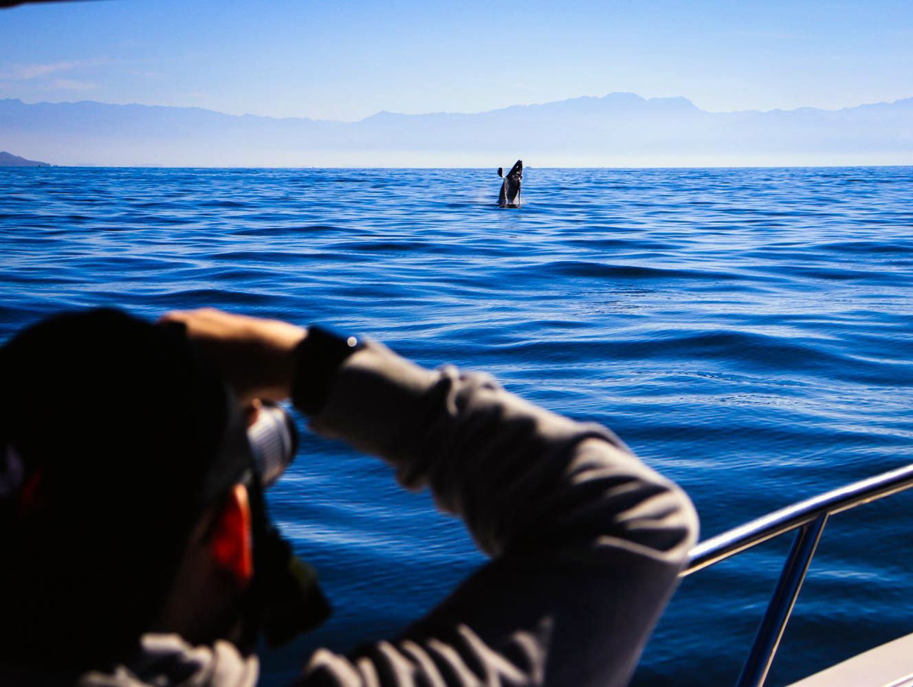 Chica Super Panga 30' Private Boat Tour Upto 10 People — 22/24