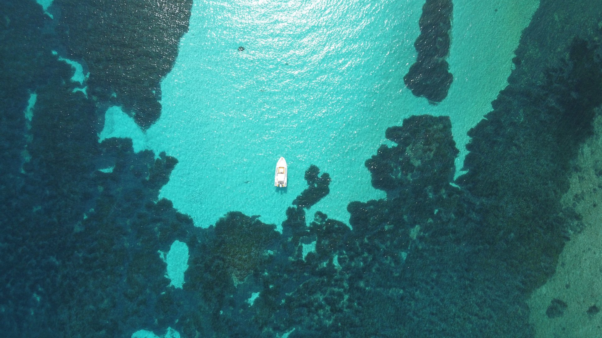 From Stintino: RIB tour in the gulf of Asinara - Photo 10