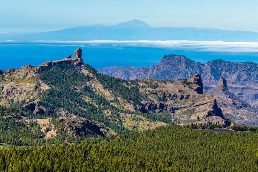 Descubre la isla de Gran Canaria (desde el Hotel Barceló Margaritas) 