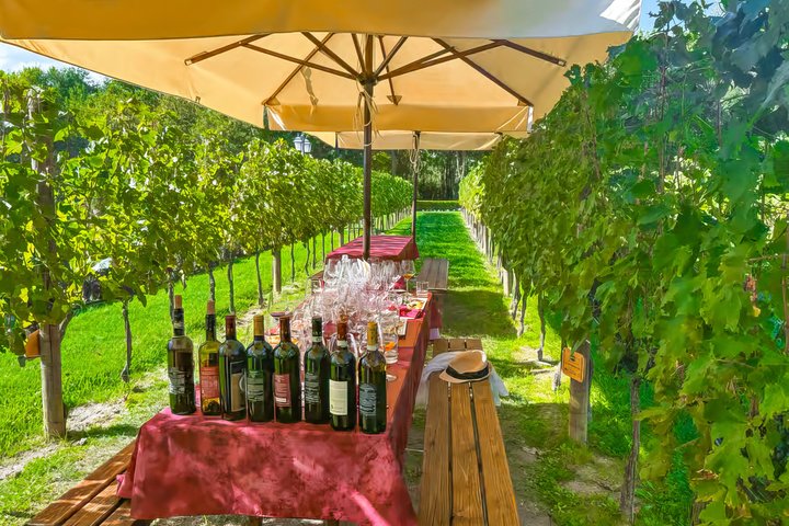Tuscany Vespa Tour with Winery Lunch & Wine Tasting in Chianti - Photo 2