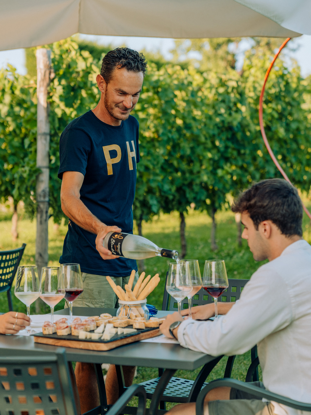 Wine and Food Tasting in the Vineyards - Photo 6