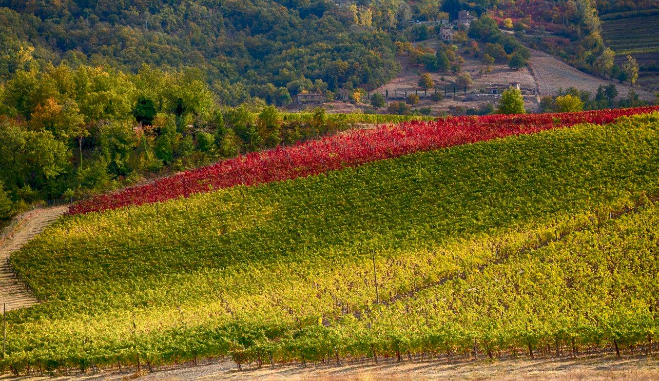 Tuscany Landscapes, Castels & Chianti Wine District - Photo 15