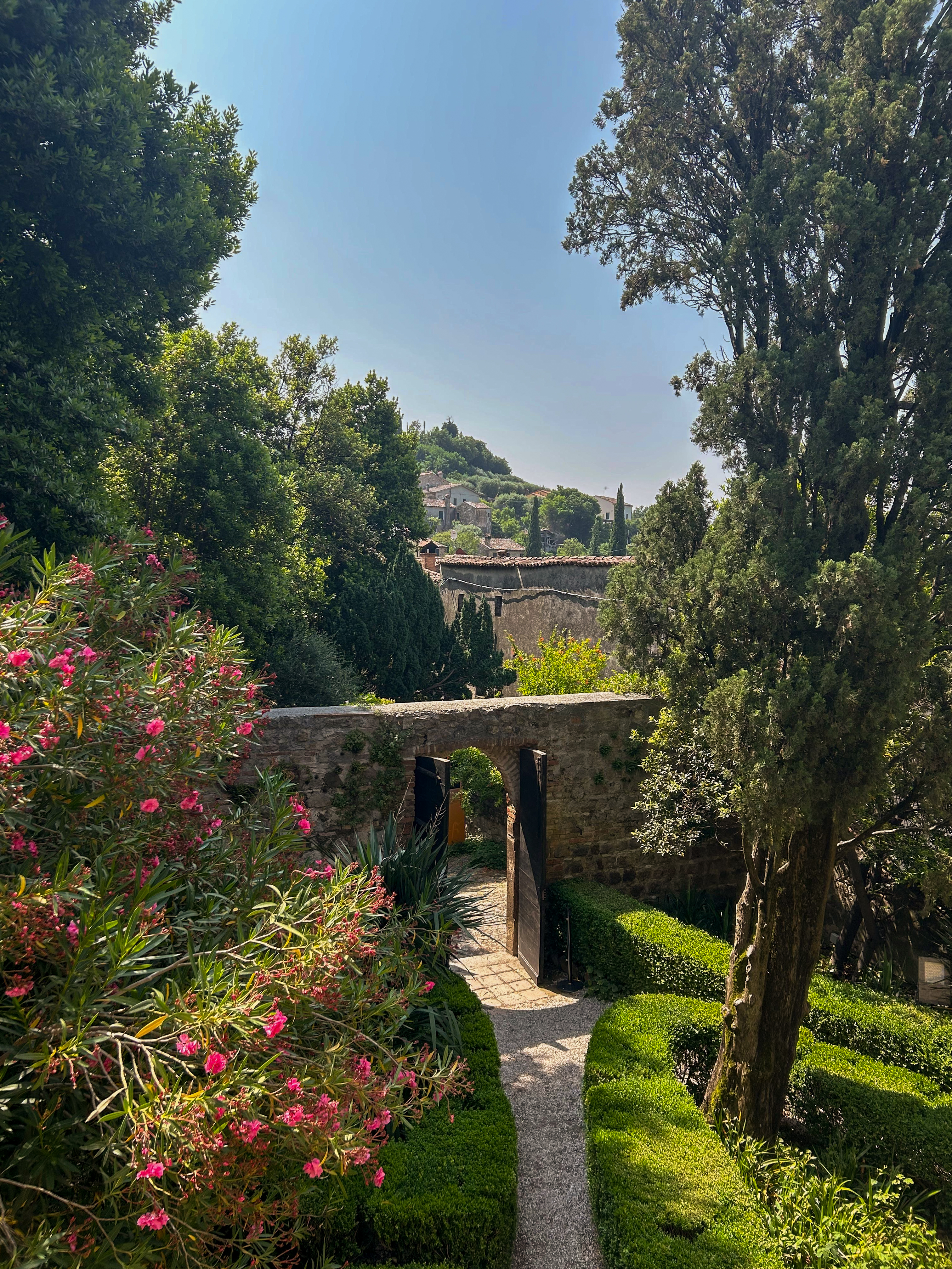 Tour to Arquà Petrarca medieval village - Photo 8
