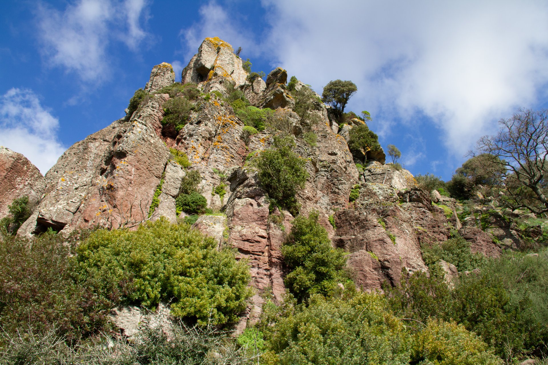 Bosa: 3-hour ATV tour - Photo 15