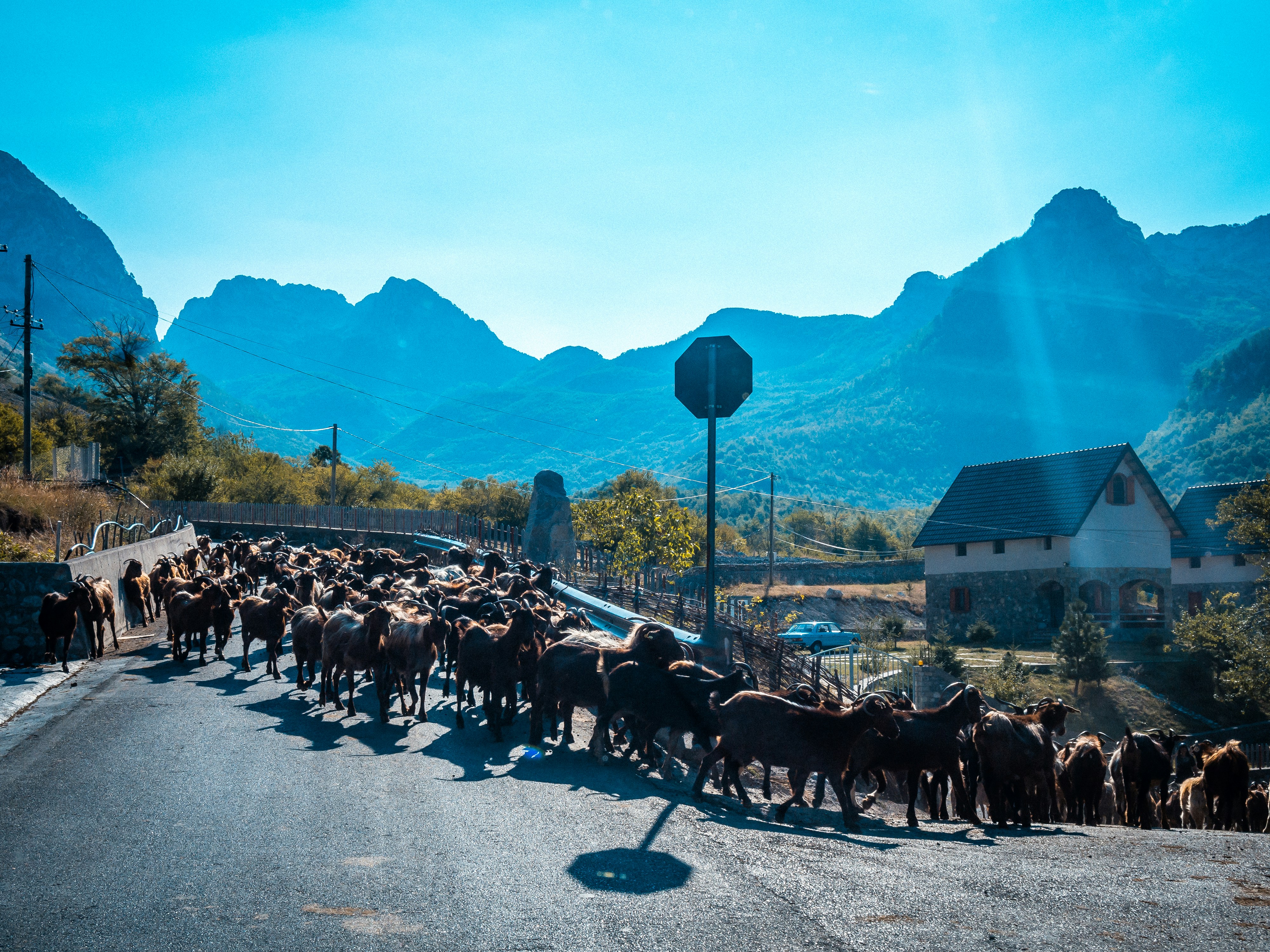 Explore Theth in a Day from Tirana - Albania’s Best Escape - Photo 2