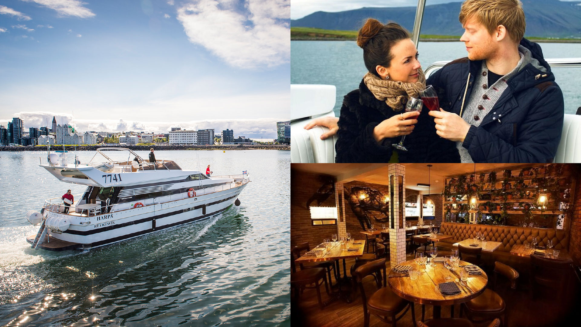 Harbor Cruise with Three Course Dinner from Reykjavik