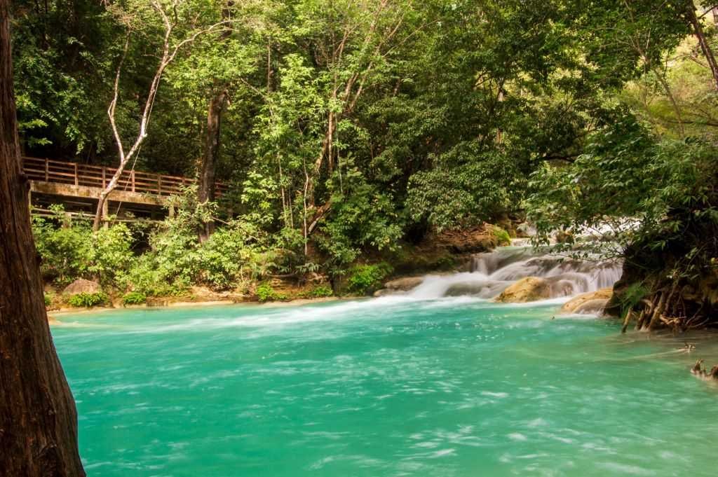 Tour por Palenque: Explore Ruinas, Sitios Arqueológicos y Naturaleza (10 Días) — 6/10