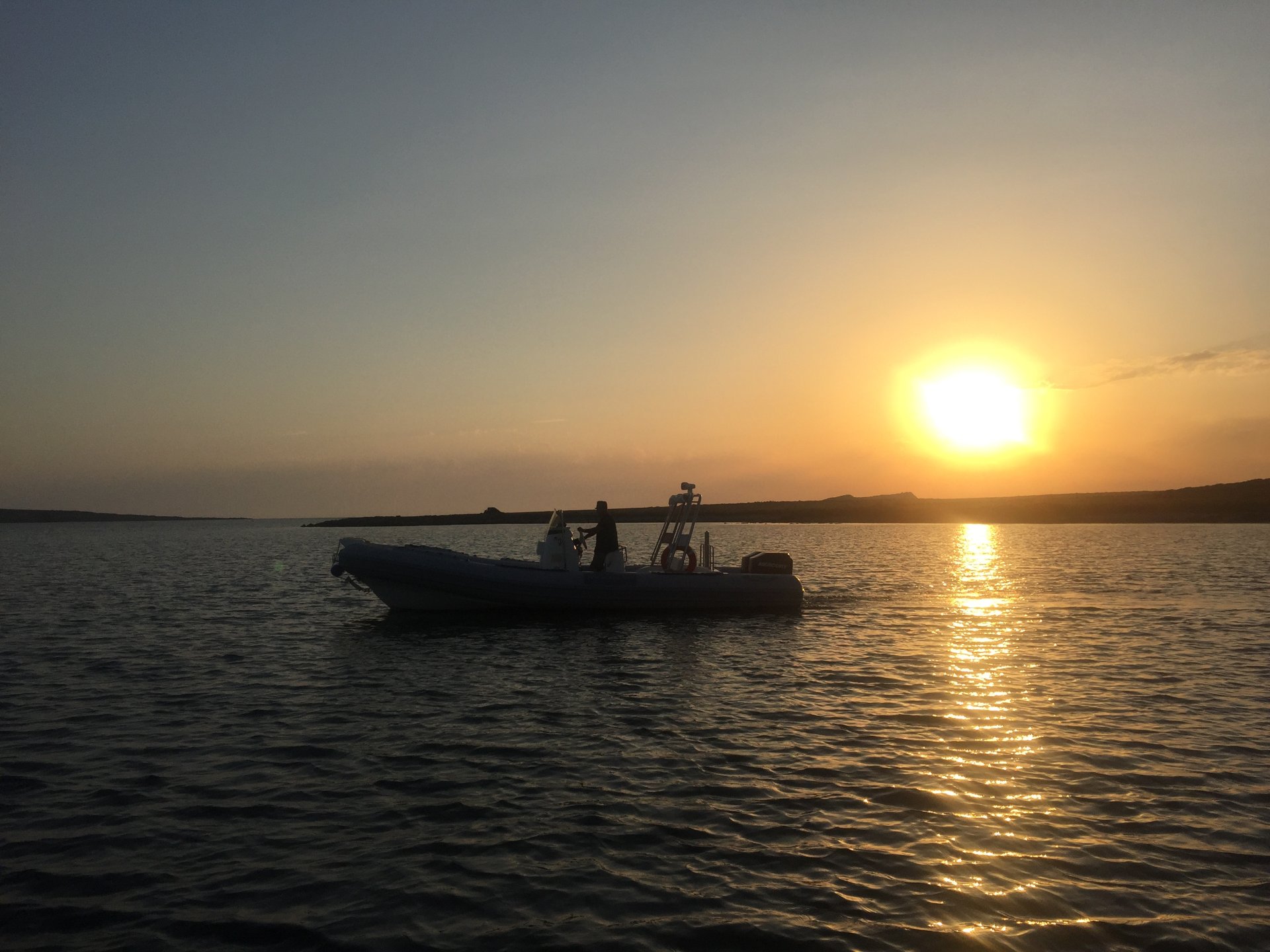 From Stintino: RIB tour in the gulf of Asinara - Photo 3