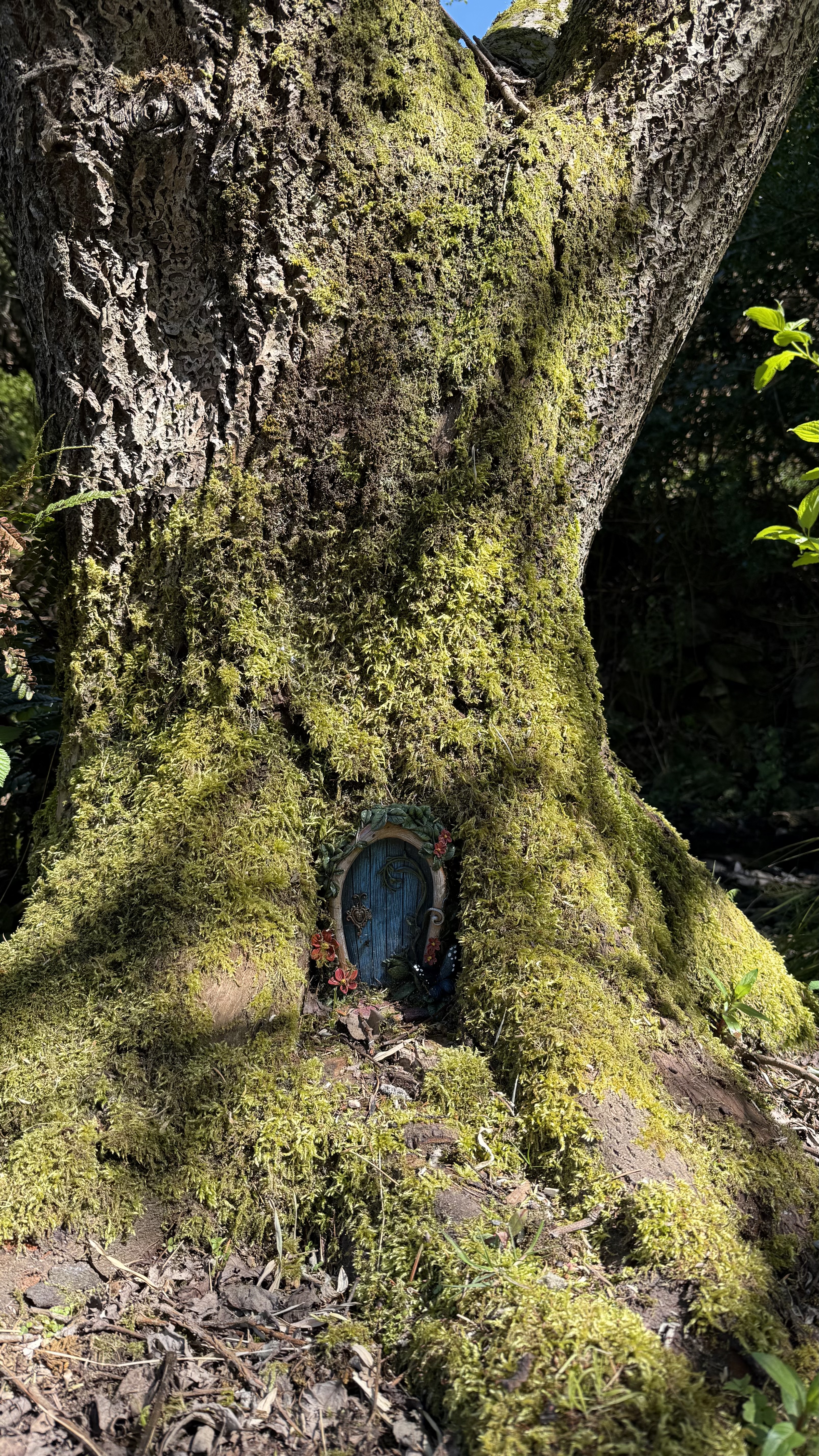 Little Explorers Fairy Trail - County Down, Northern Ireland – photo 3