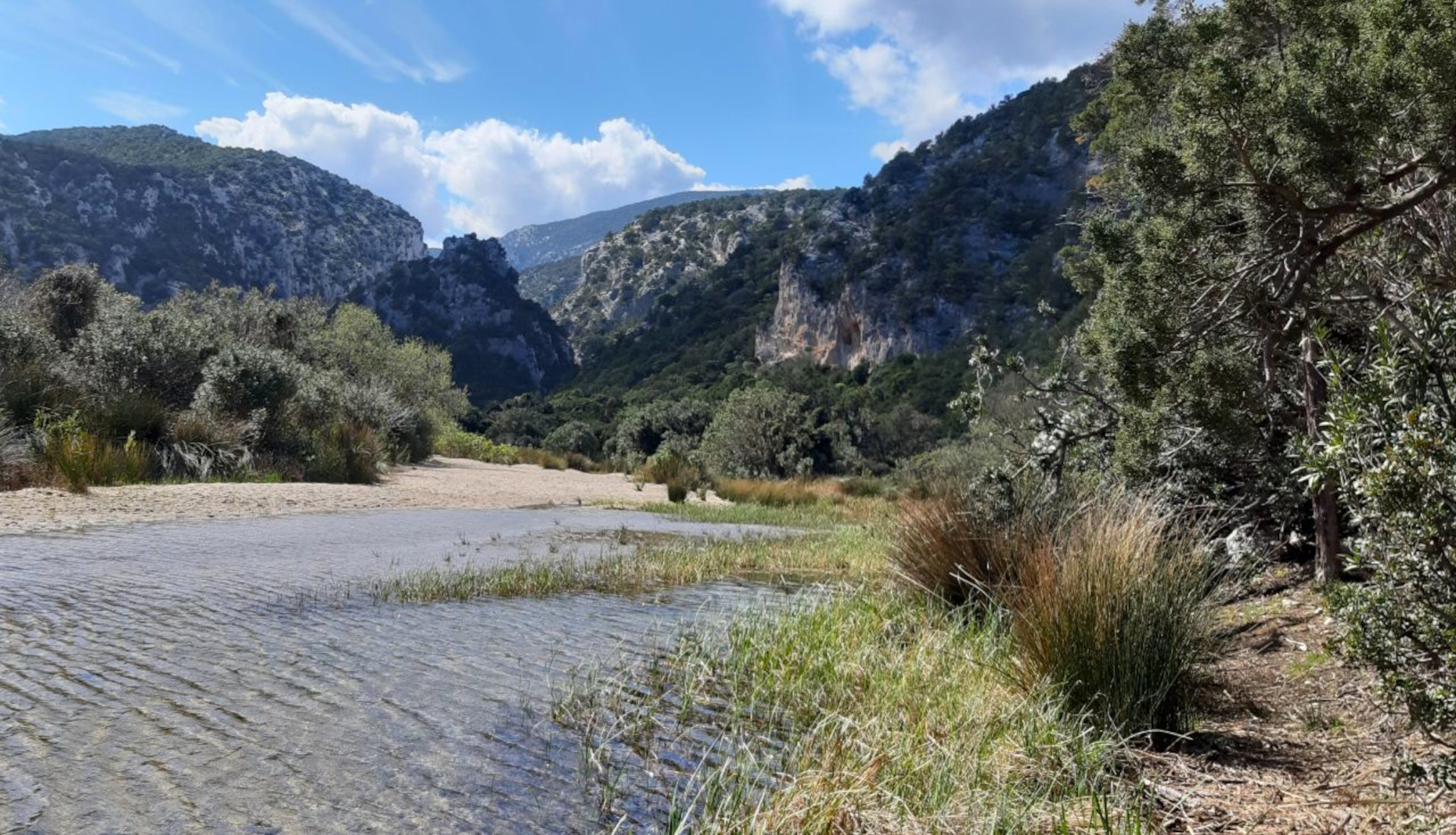 From Dorgali: trekking to Cala Luna - Photo 14
