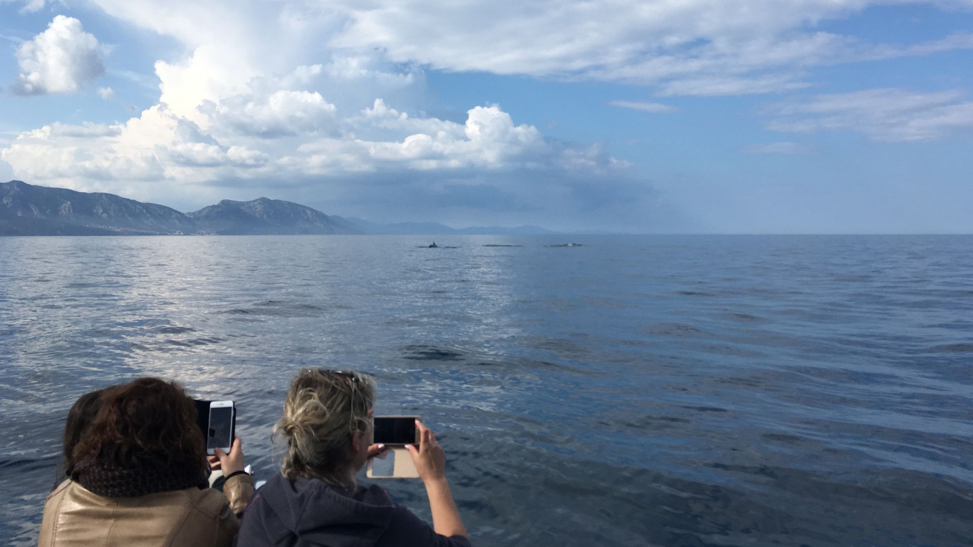 From Cala Gonone: naturalistic excursion on a RIB - Photo 6