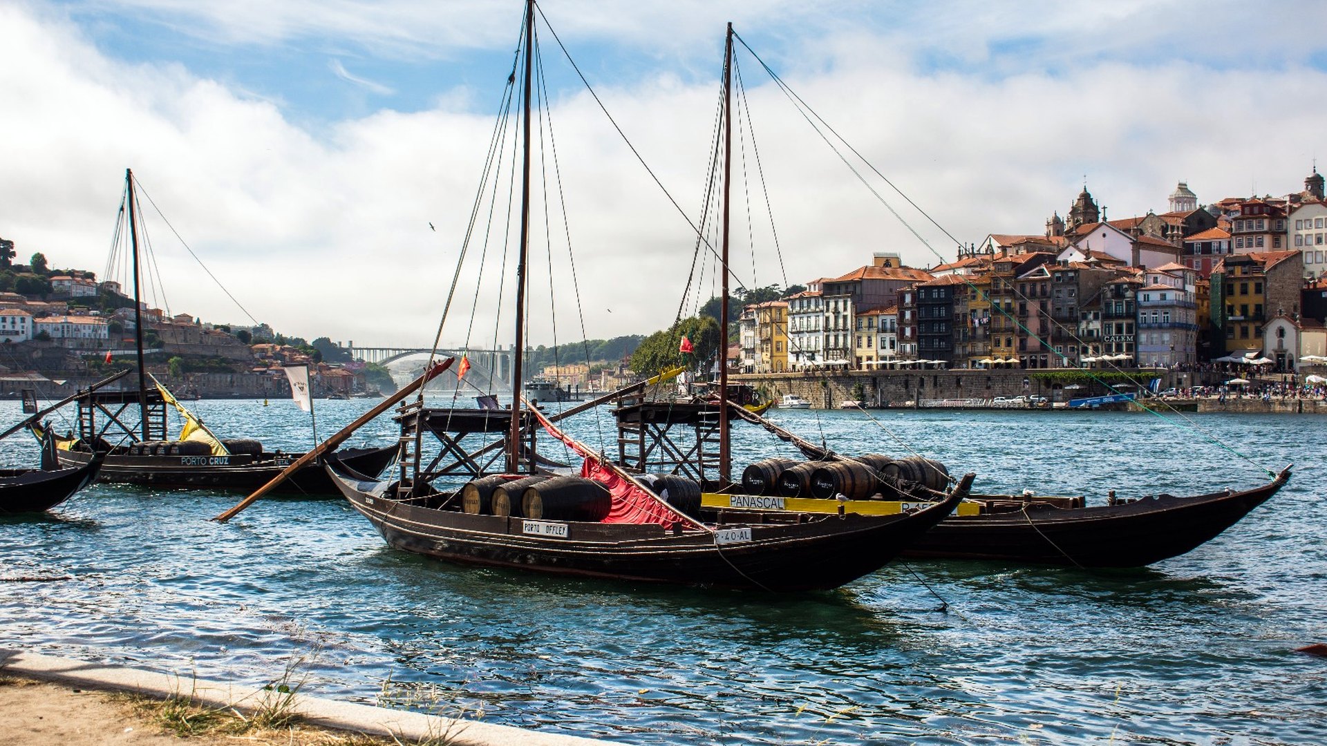 Tour privado de día completo por Oporto: catedral, Lello y costa atlántica