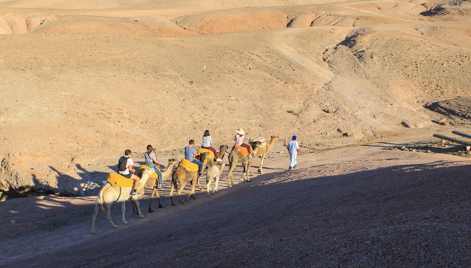 Paseo en quad y camello en el desierto de Agafay